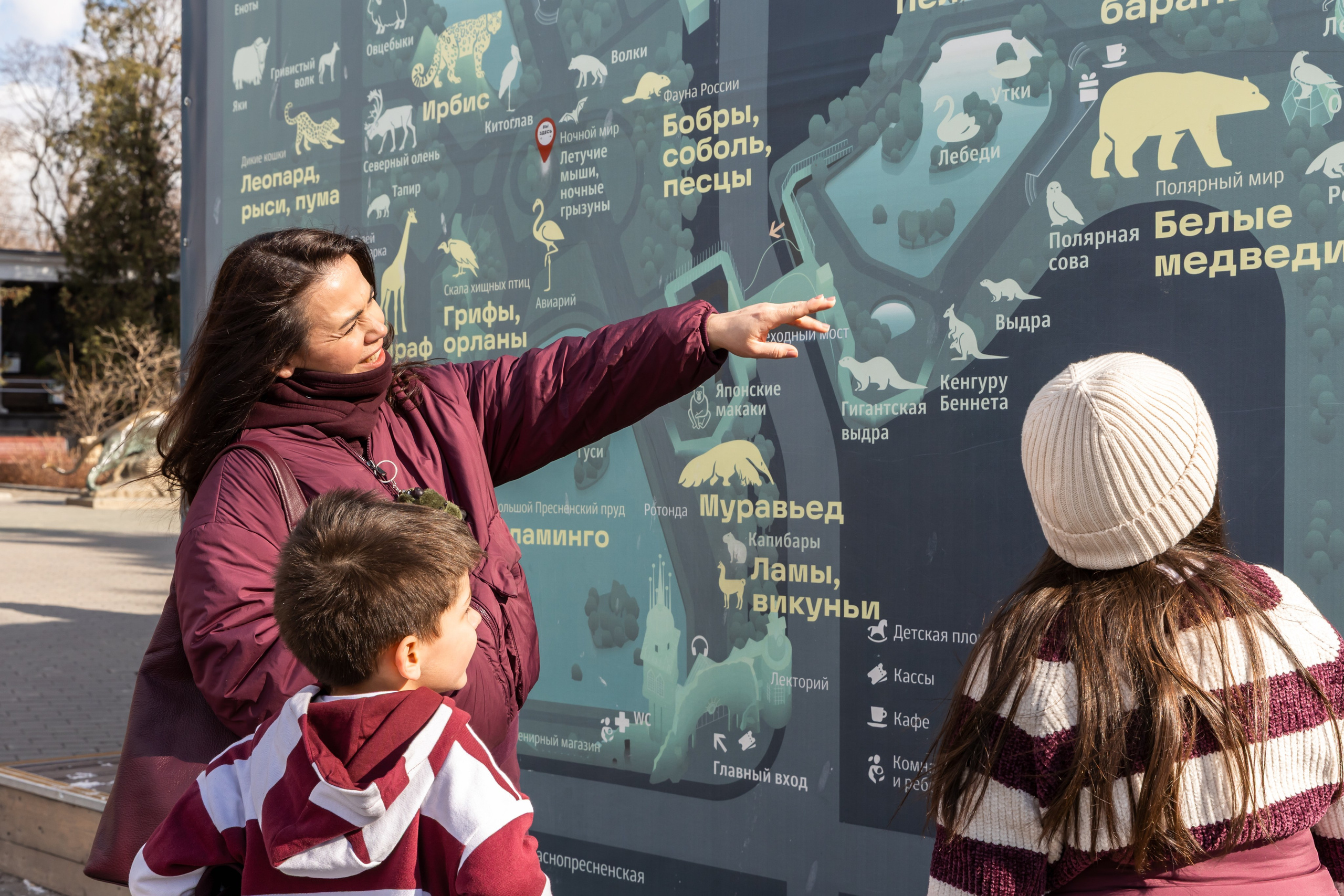 Zoo. Семейный фотограф Израиль