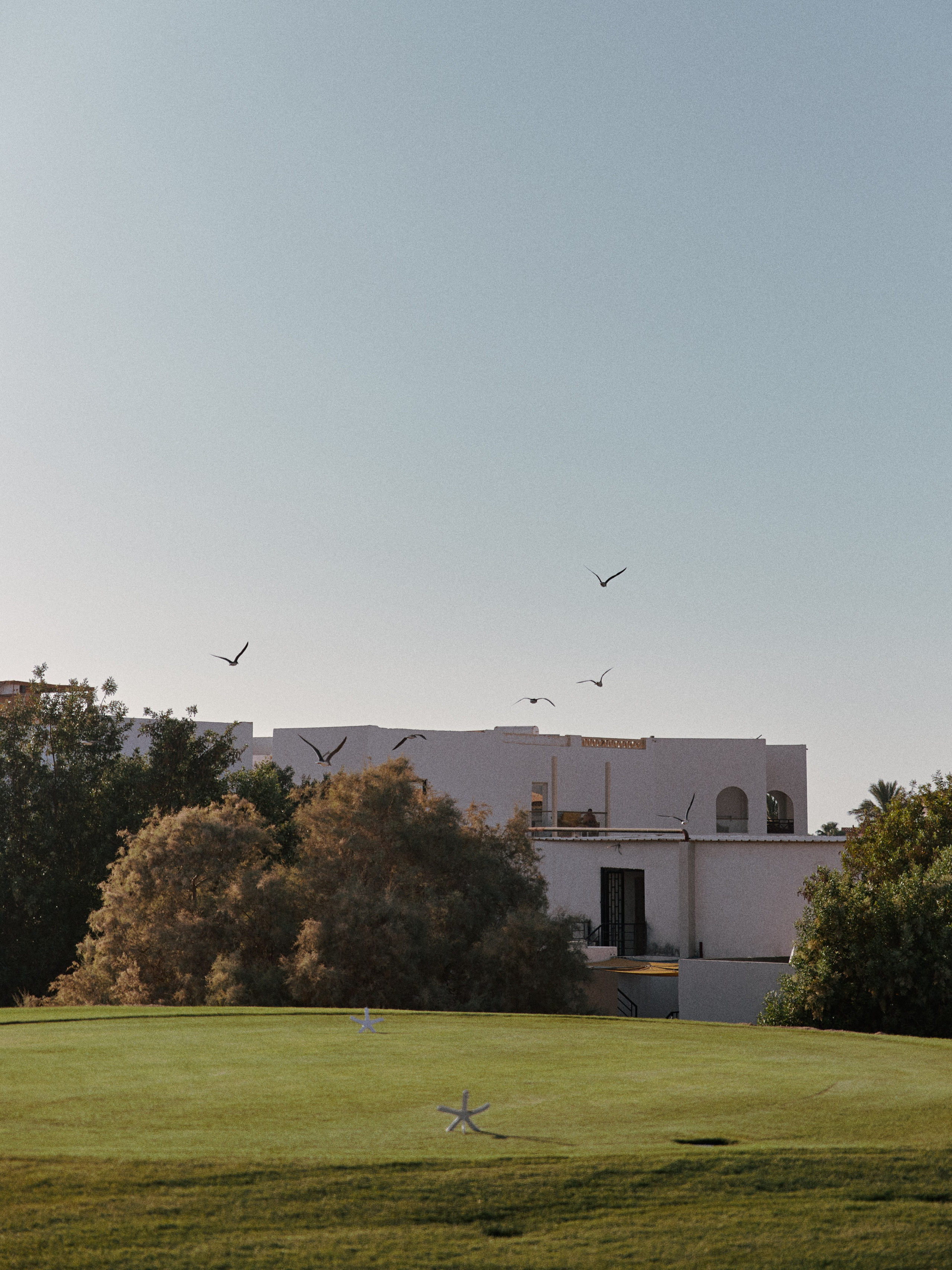 Диптих. Jorgis — фотограф в Хургаде / обучение фотографии