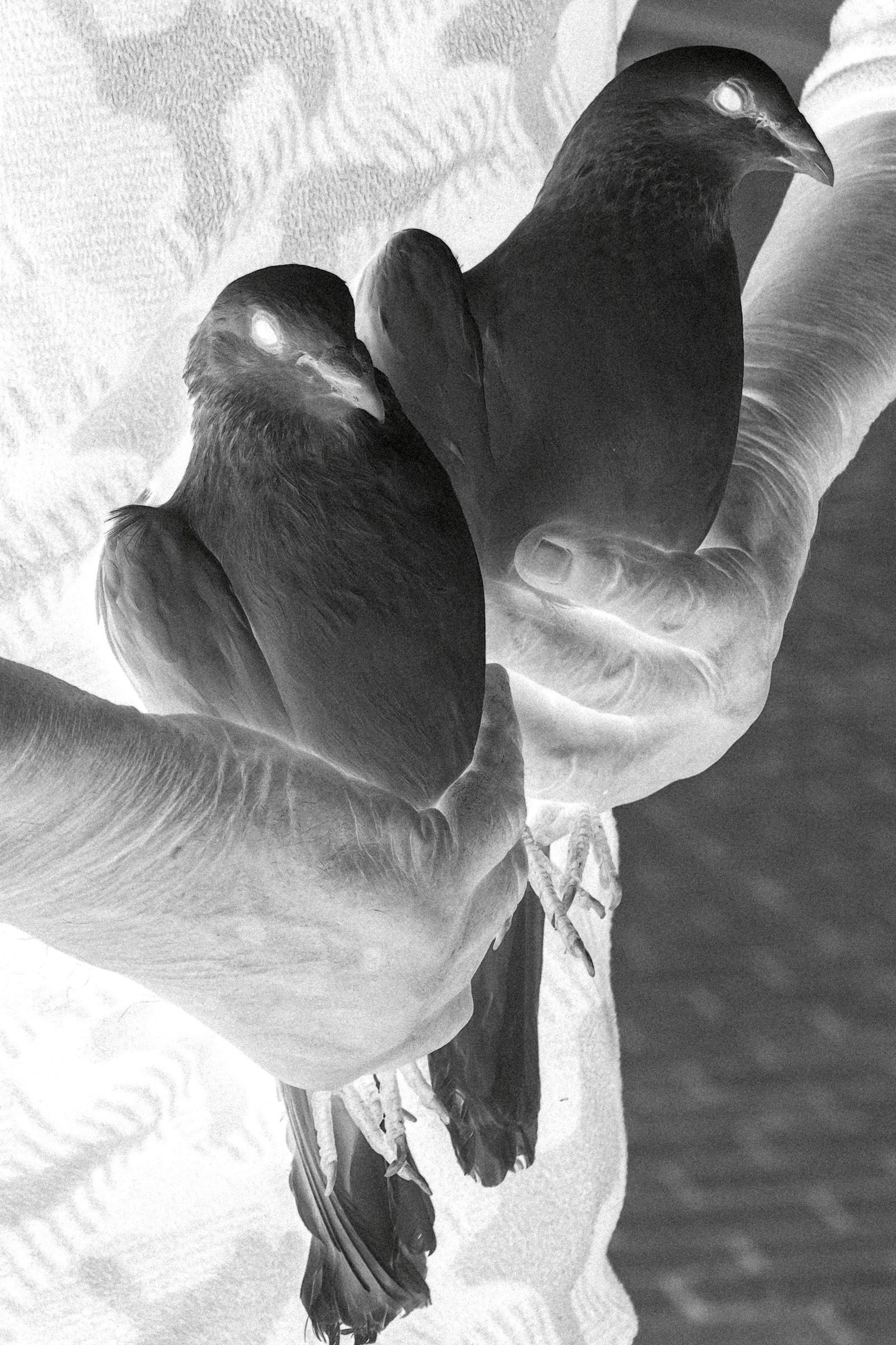 Ритуал. Константин Суриков свадебный фотограф Санкт-Петербург