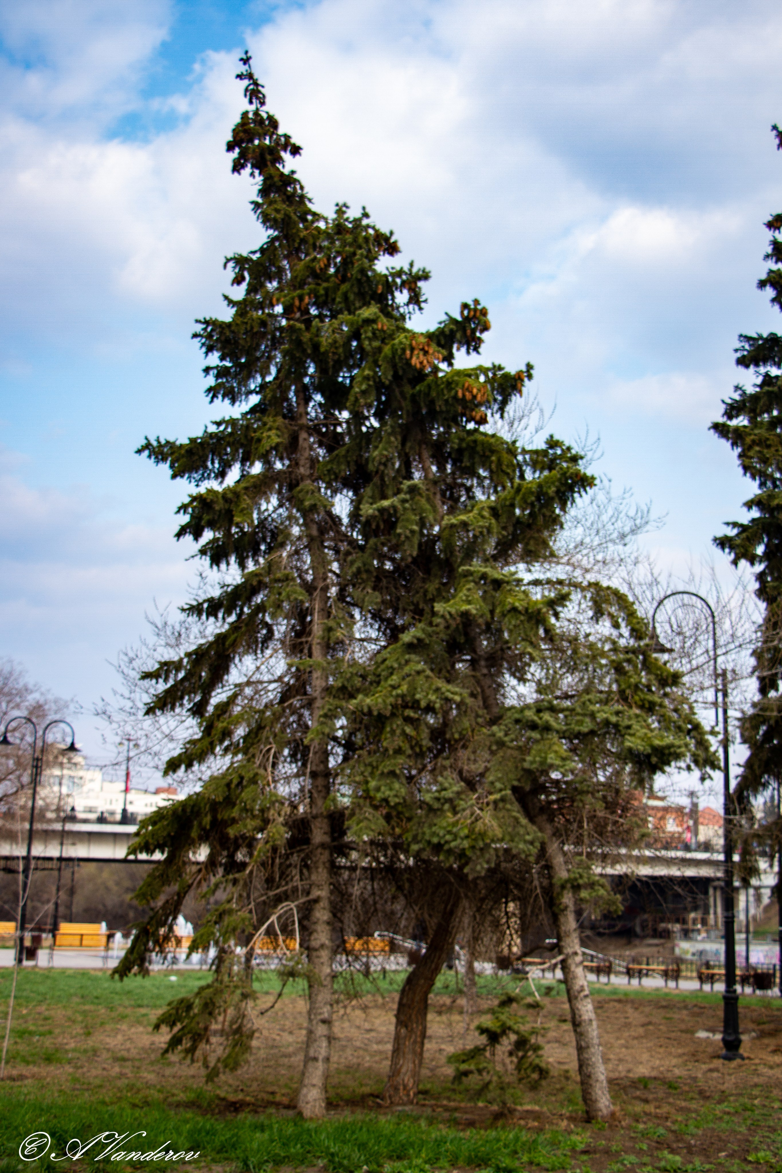 Омск 2023. Фотограф Омск | Александр Вандеров