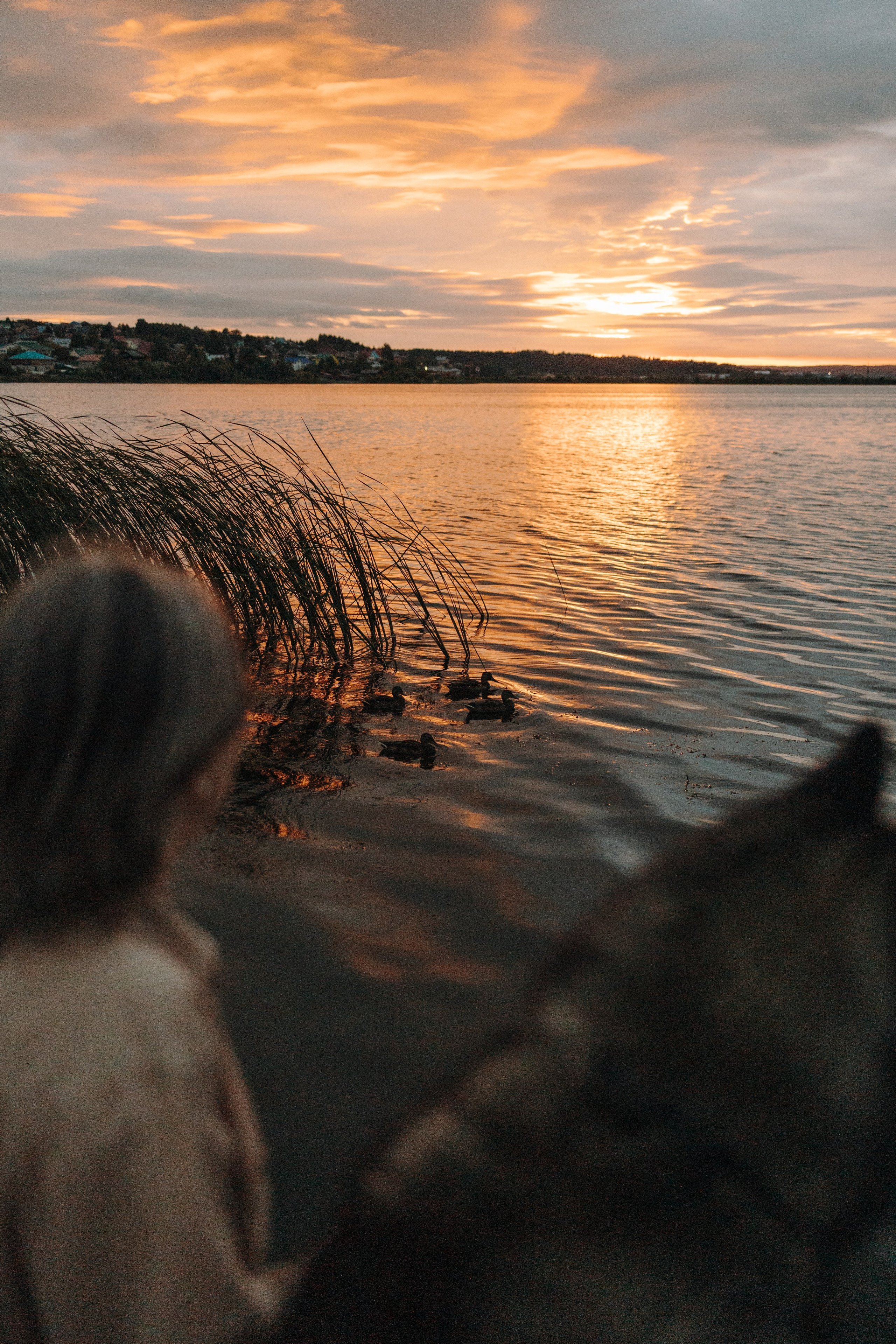 Дом у реки. Фотограф — Анималист | Санкт-Петербург