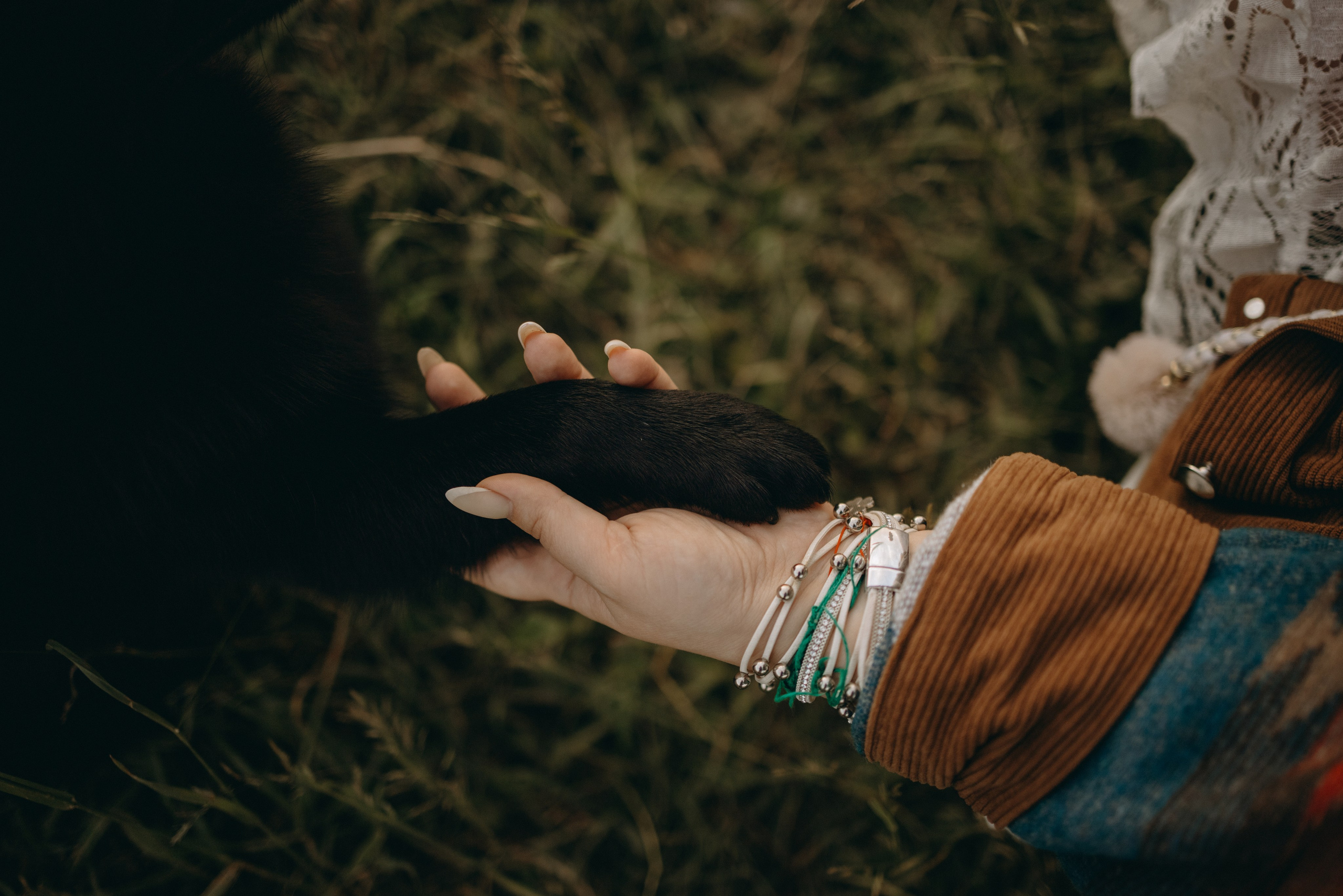 Анна и Максимус. Фотограф — Анималист | Санкт-Петербург