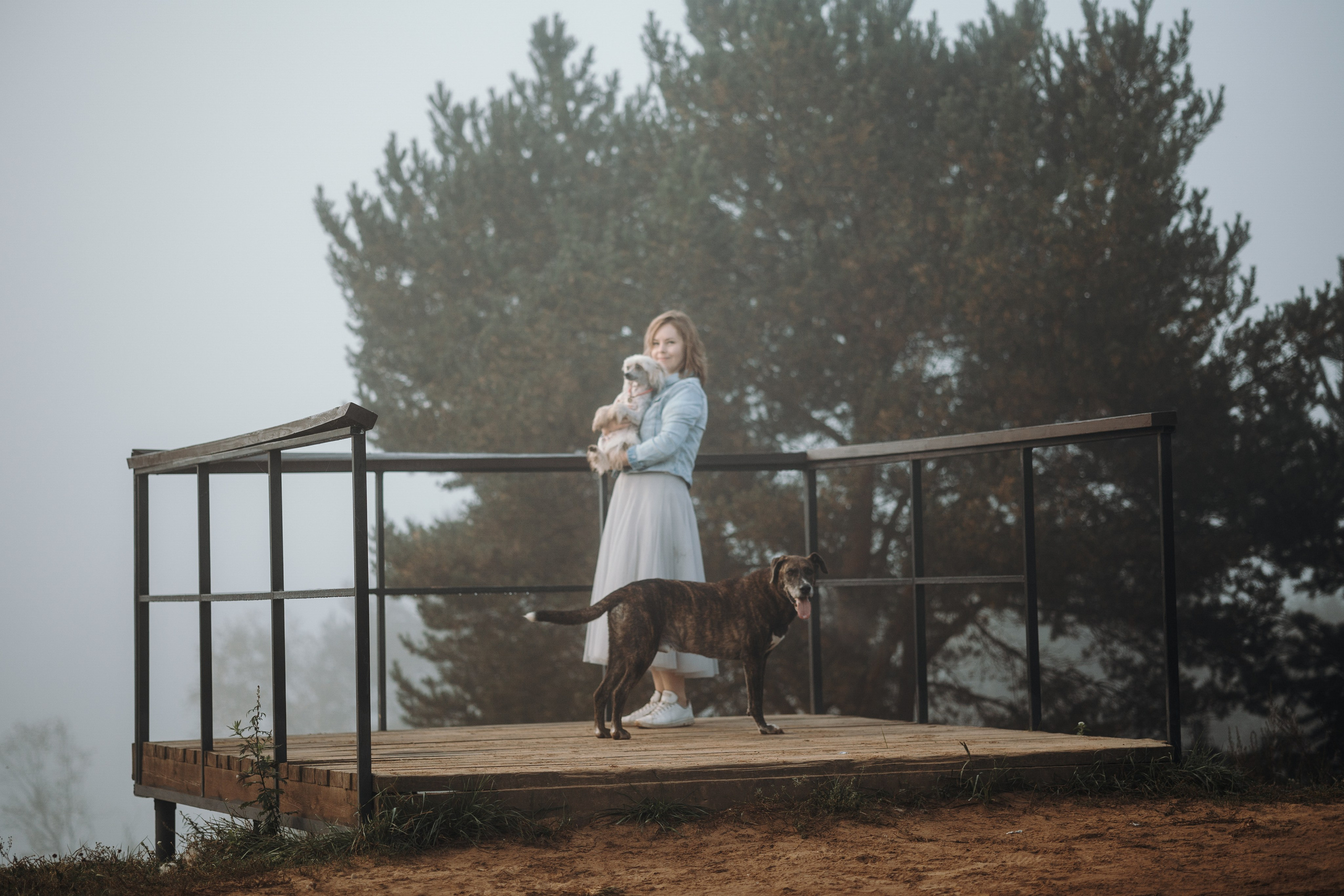 Любовь и ее хвостики. Фотограф — Анималист | Санкт-Петербург