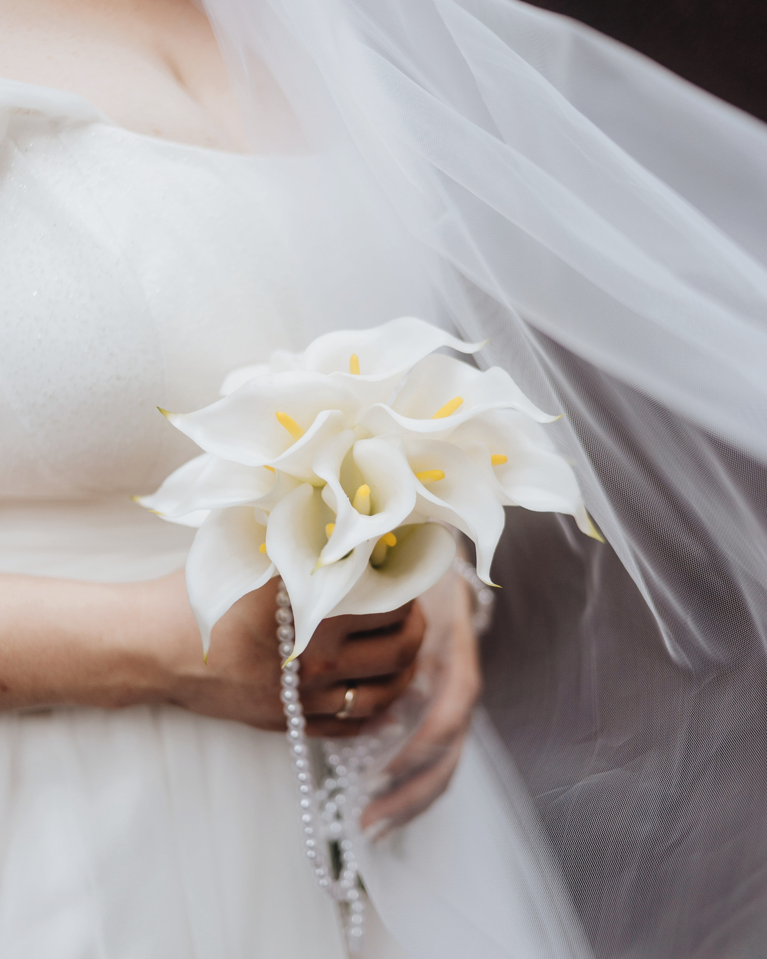 01.08.25. Фотограф Брянск