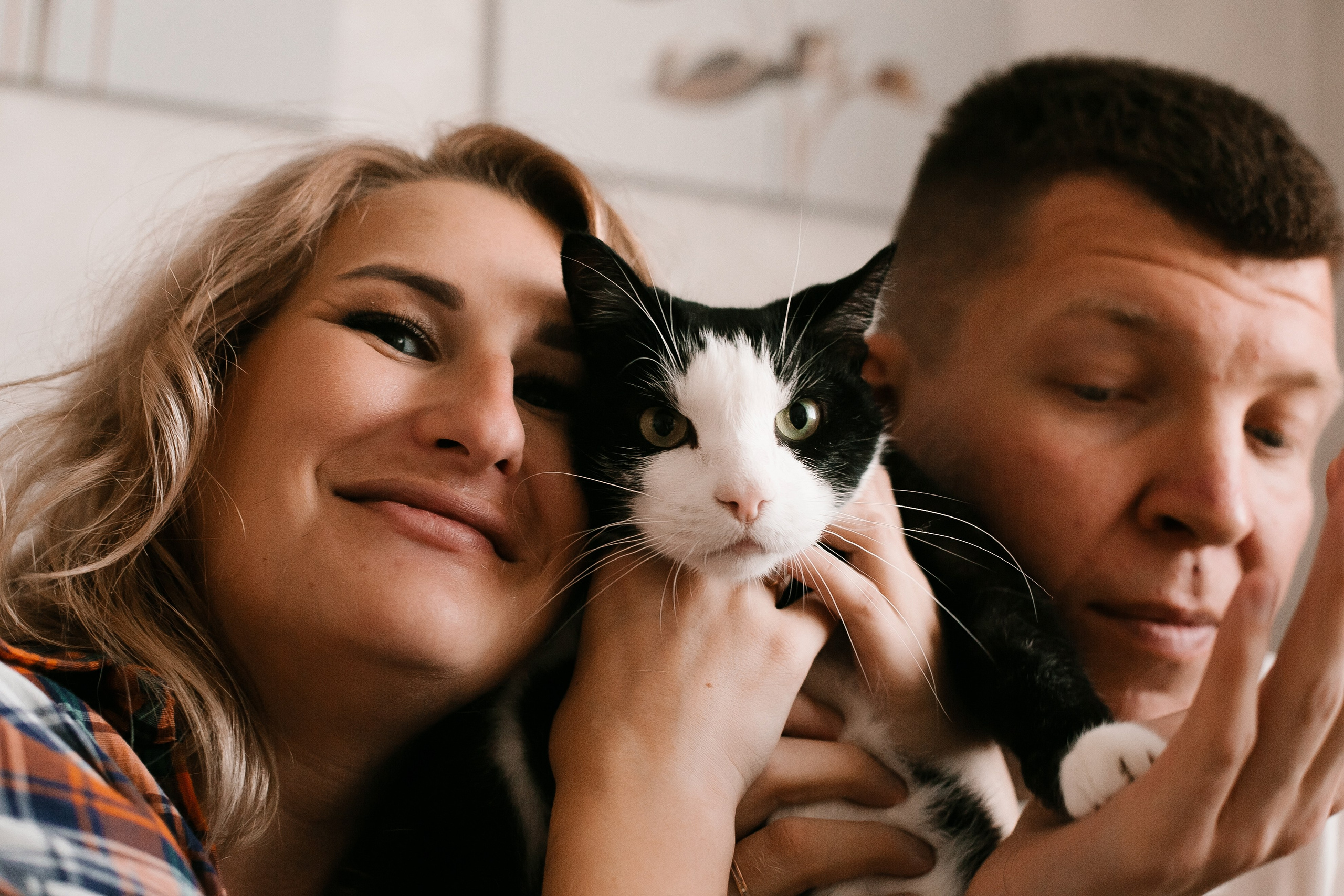 Дарья, Артем и котики все ждут. Свадебный, семейный и детский фотограф в г. Абакан респ. Хакасия Любов