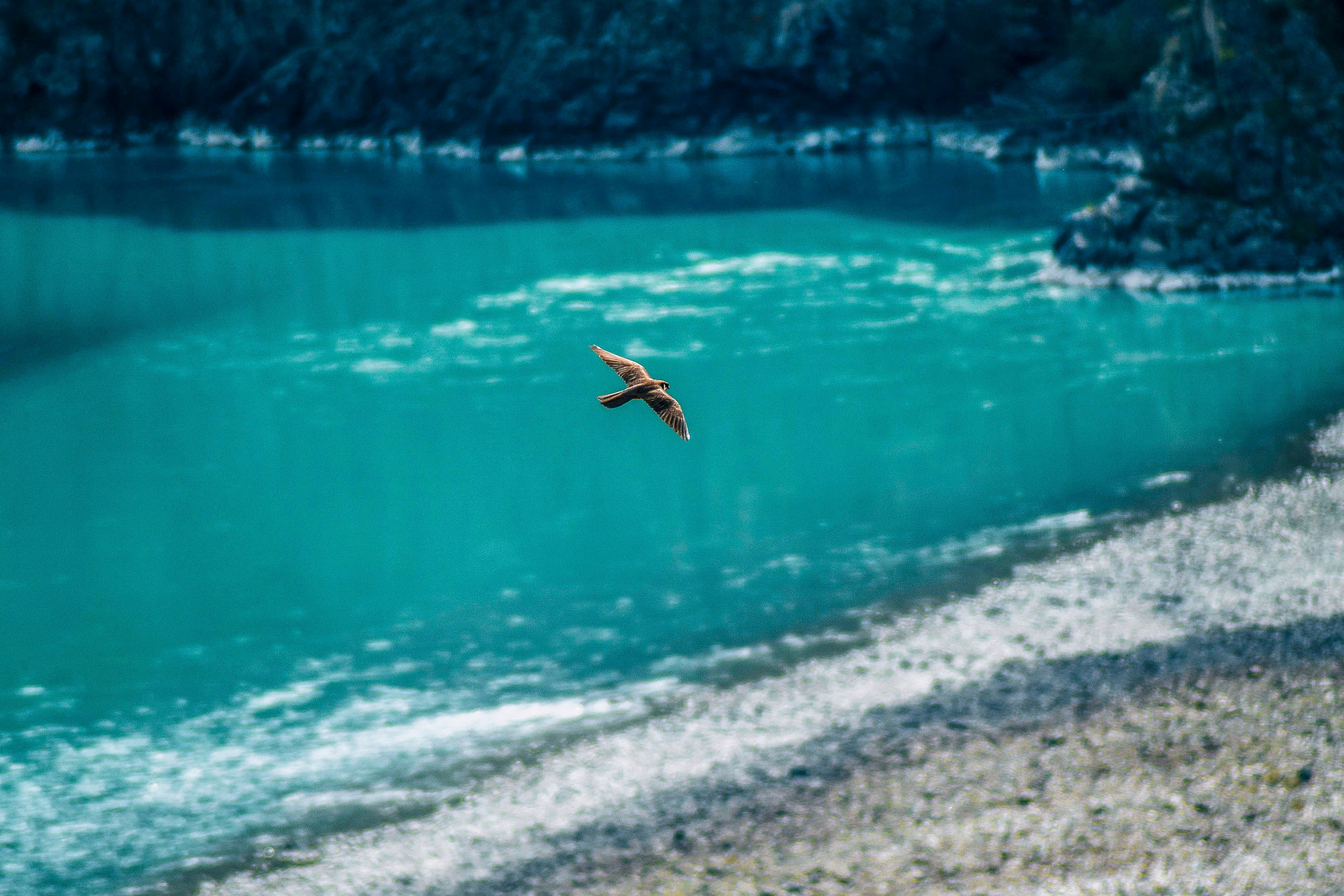 Altai landscape. Iraogo