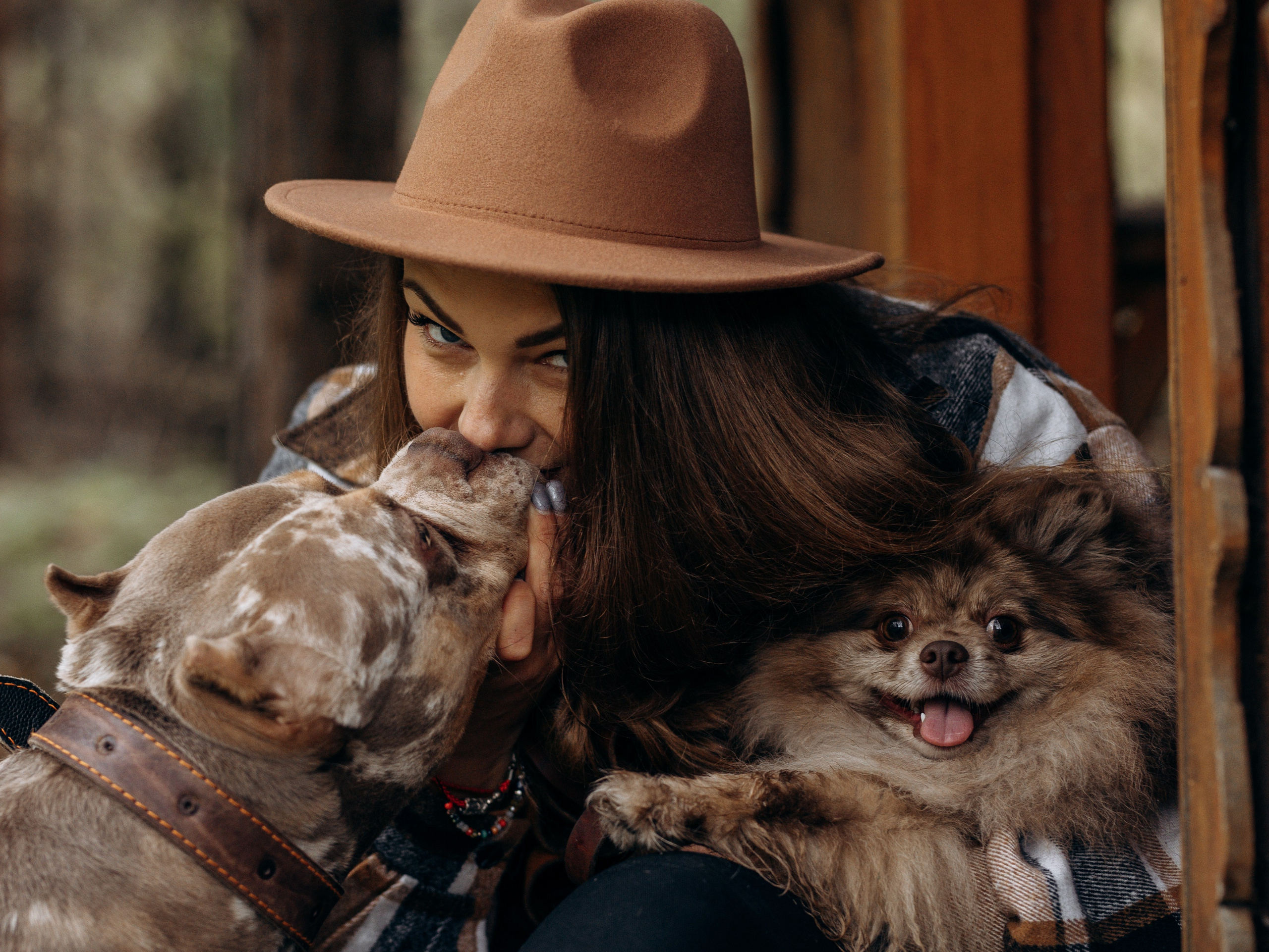 Скай, Марти и Катя. Фотограф-анималист в Москве Кириллова Татьяна