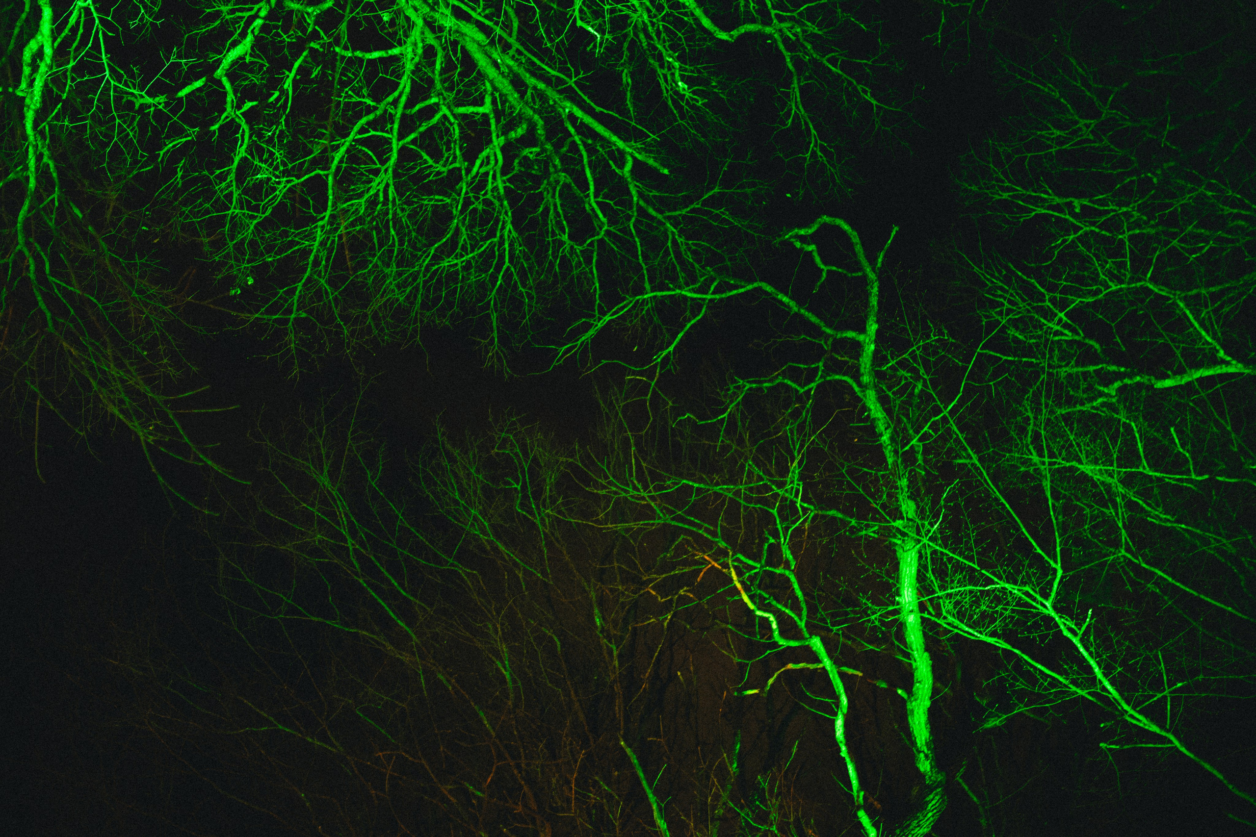 НОВОГОДНЯЯ ВЕЧЕРИНКА 90-х | Парк Культуры. Фотограф в Ставрополе Алина Клочкова