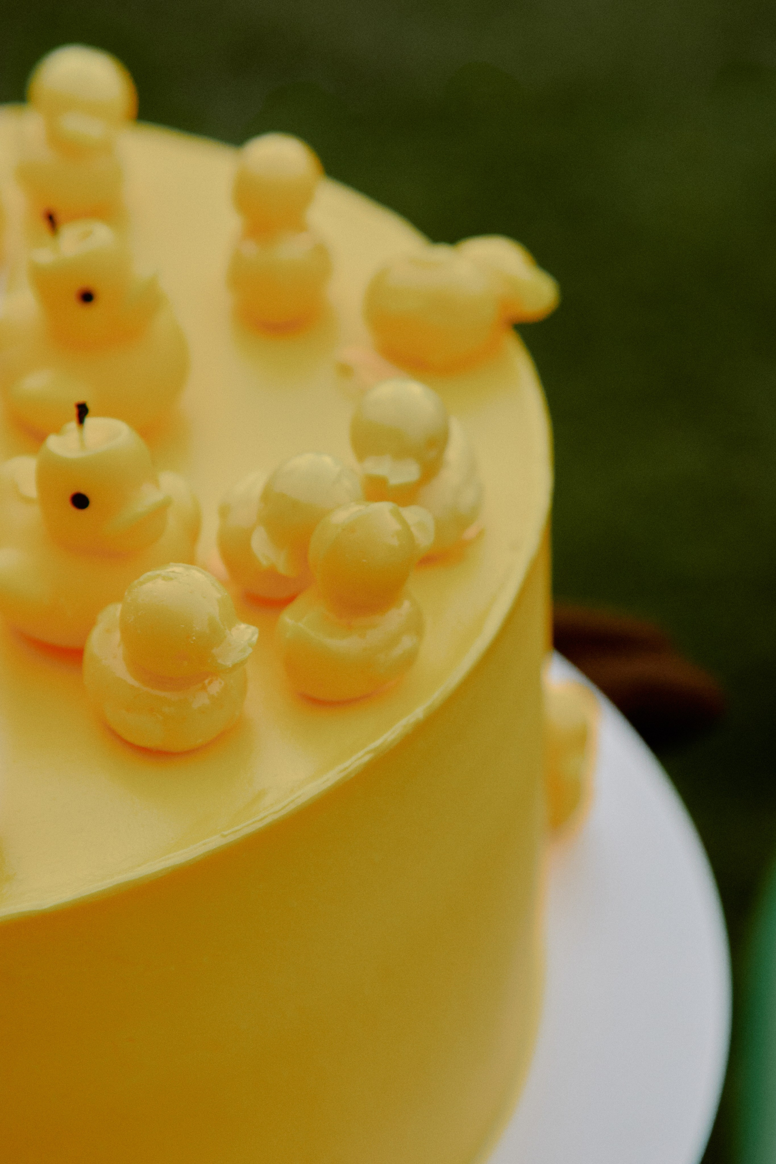 Репортаж. Фотограф Елена Краснопевцева