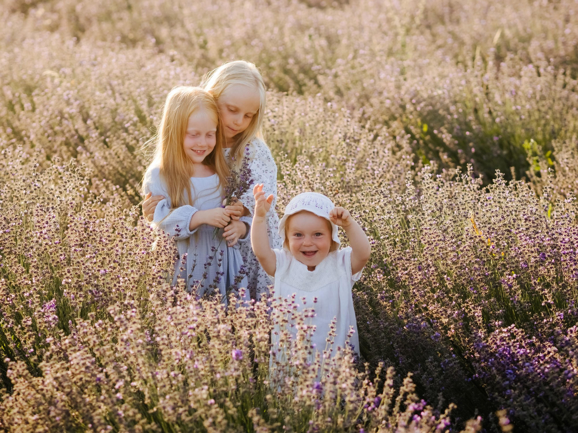 Лаванда. Семейный, детский, свадебный, фотограф в городе Анапа