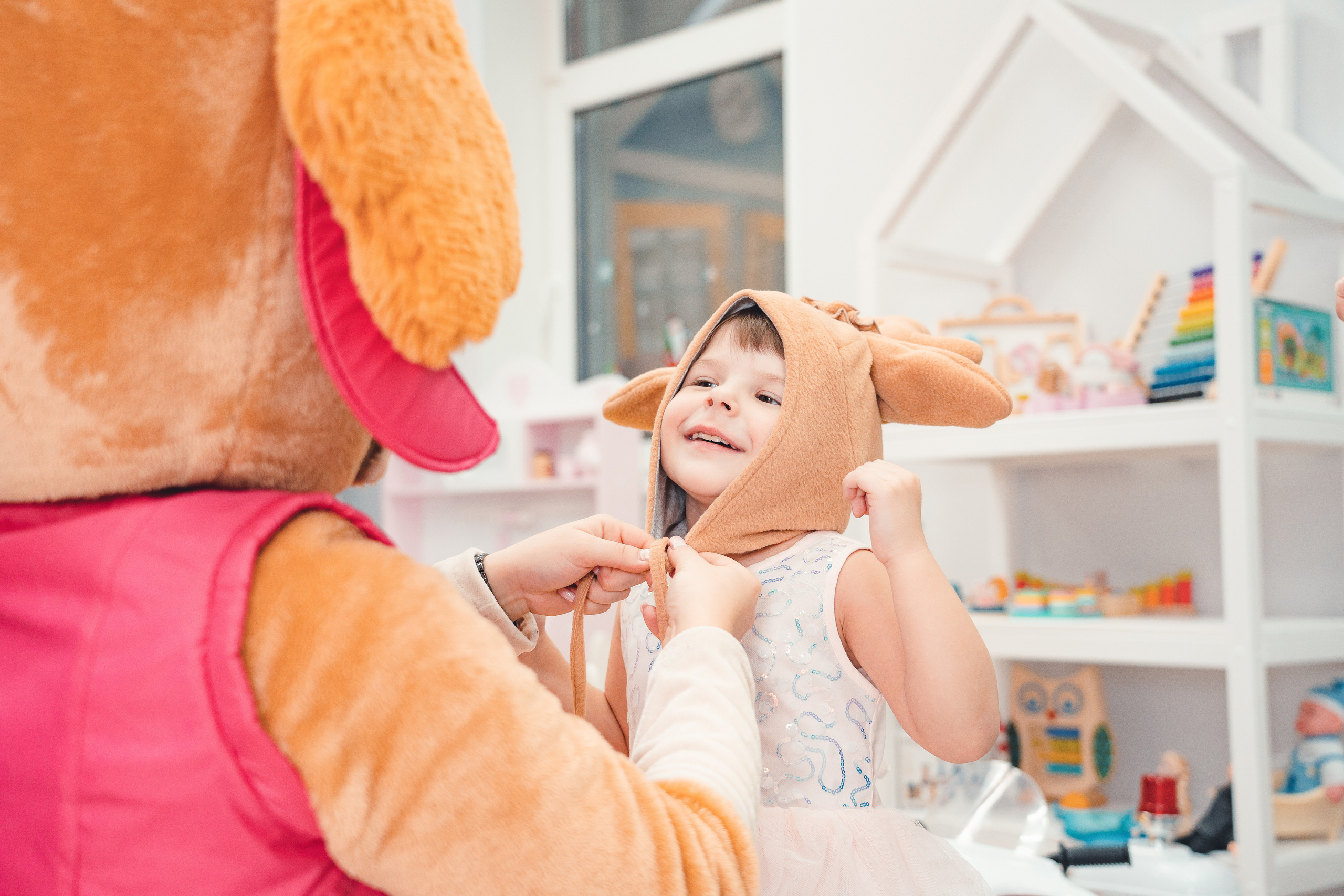 Фотографии