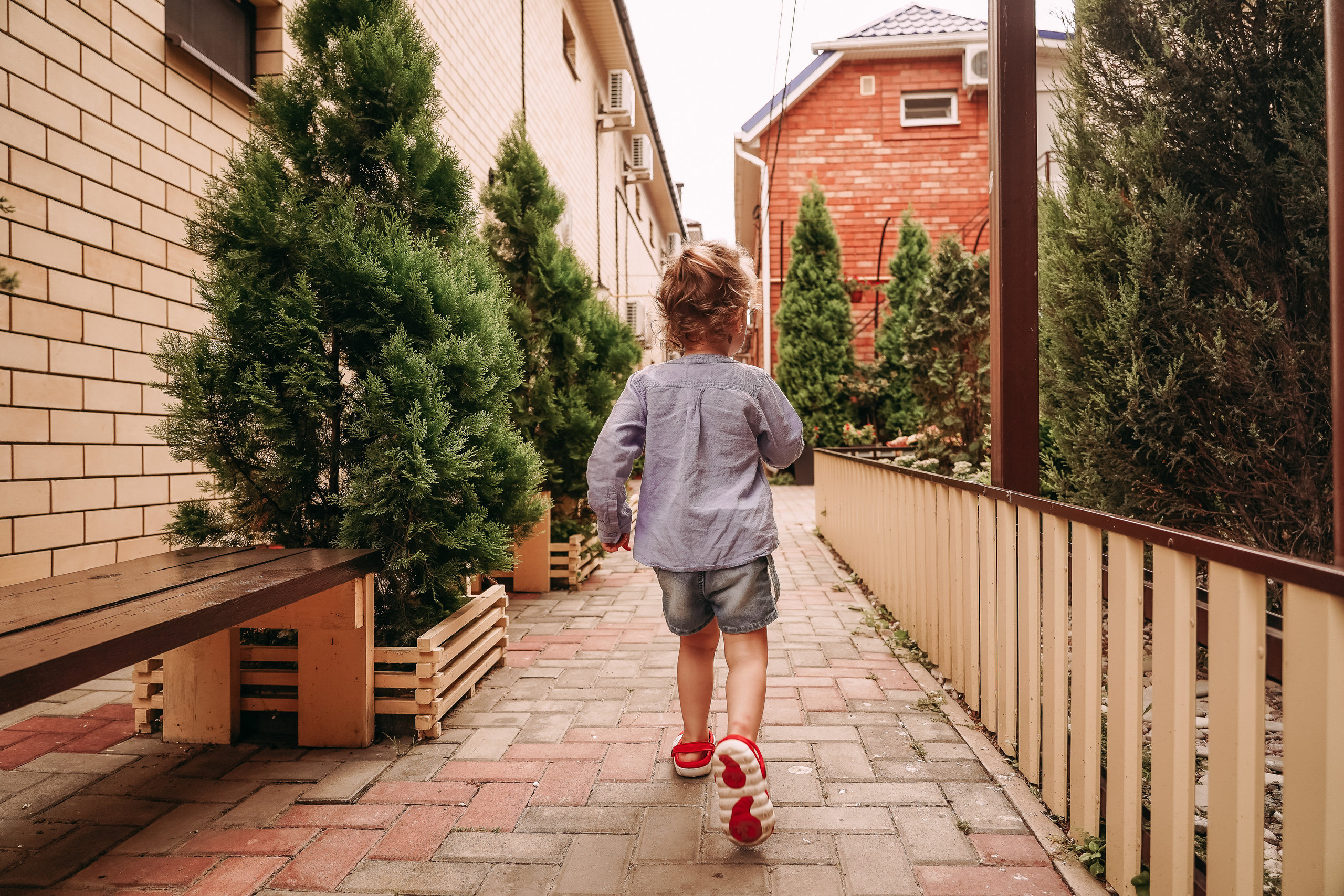 Фотографии