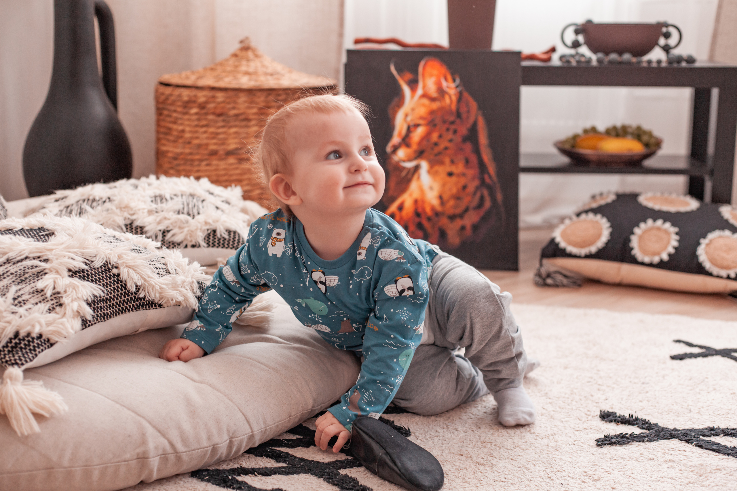 Фотографии