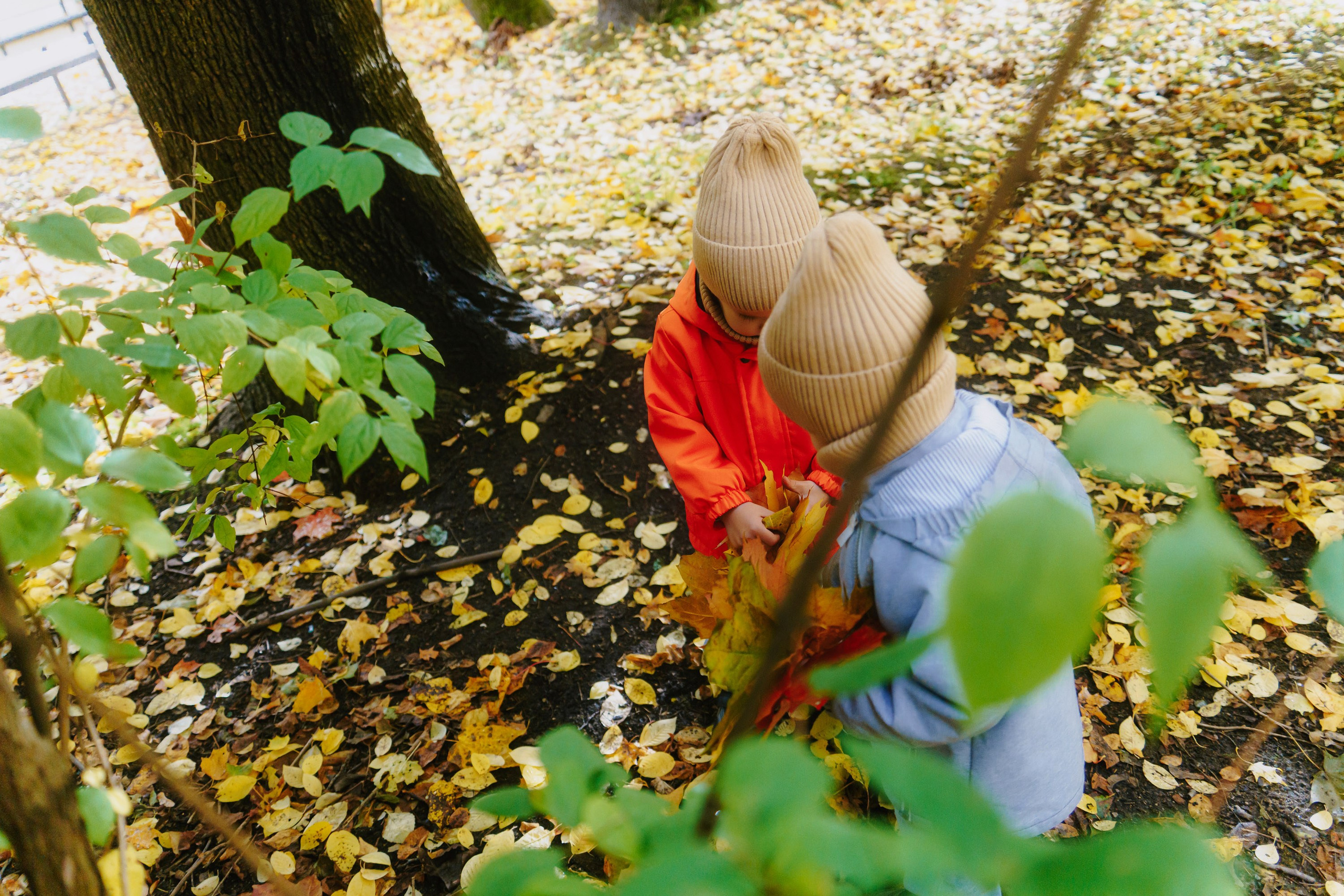 Игорь Лена Сережа Леша. Свадебный и семейный фотограф в Санкт-Петербурге Виктор Голубев