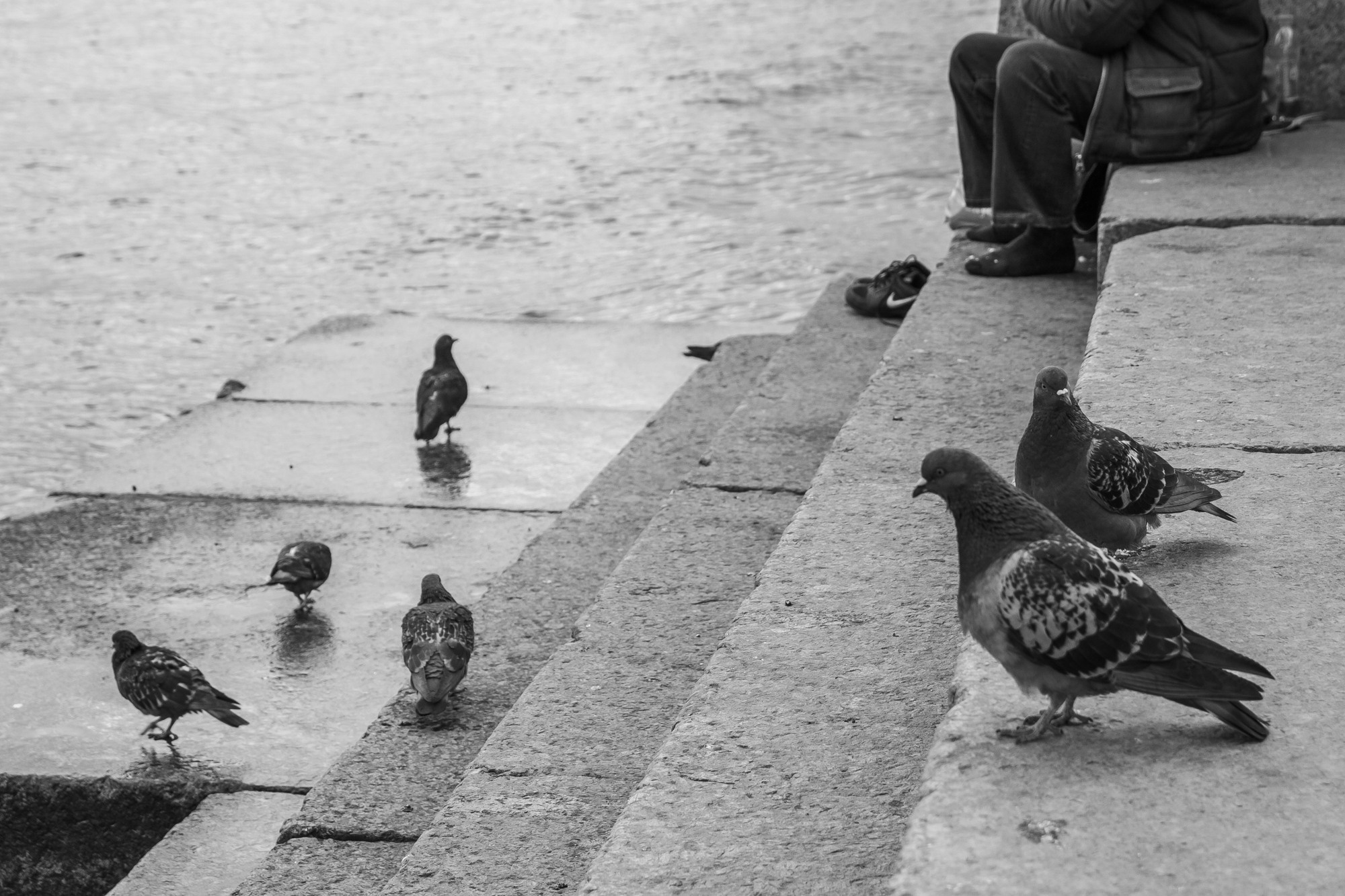 Одиночество или уединение?. Евгения Стриженова — репортажный фотограф в Санкт-Петербурге