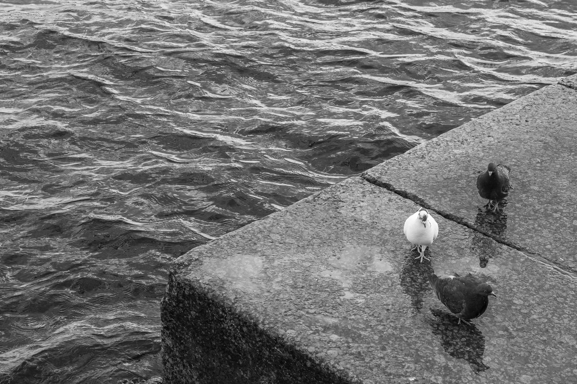 Одиночество или уединение?. Евгения Стриженова — репортажный фотограф в Санкт-Петербурге