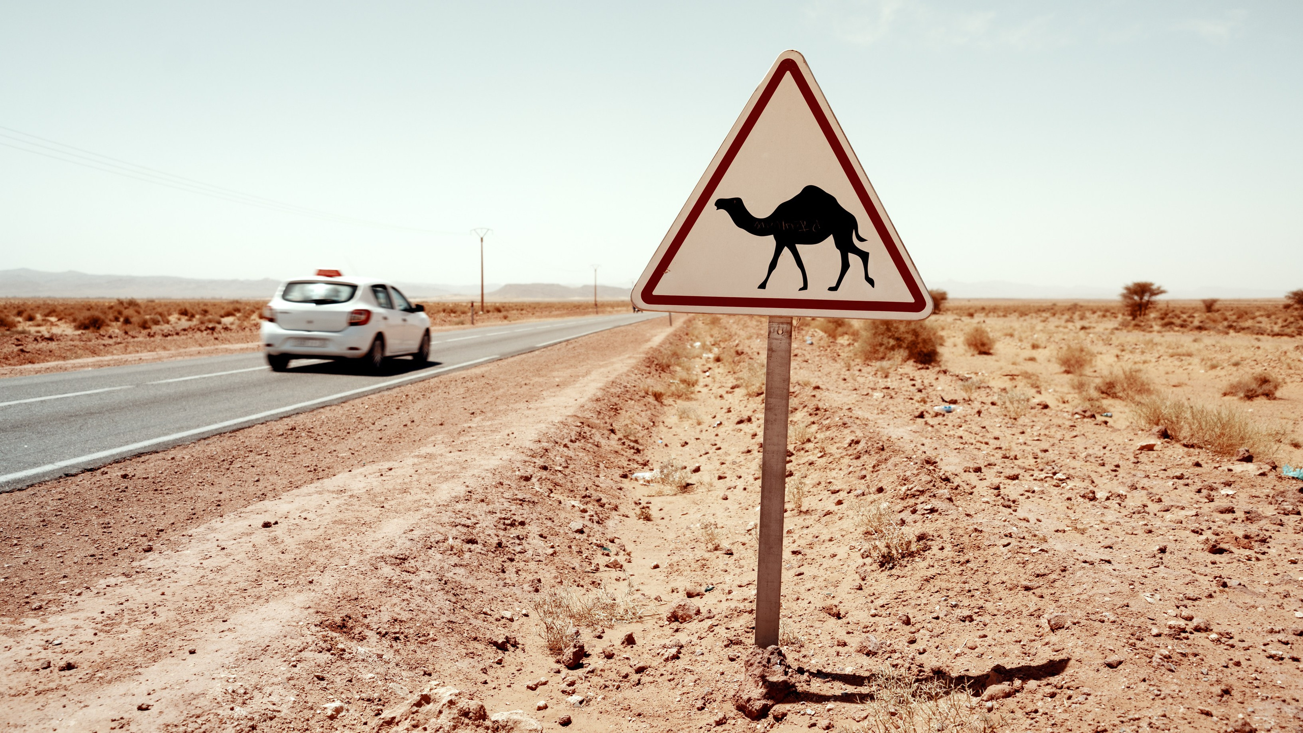 Северная Африка: Тунис, Марокко. Фотограф в Хабаровске. Фотография за 24 часа