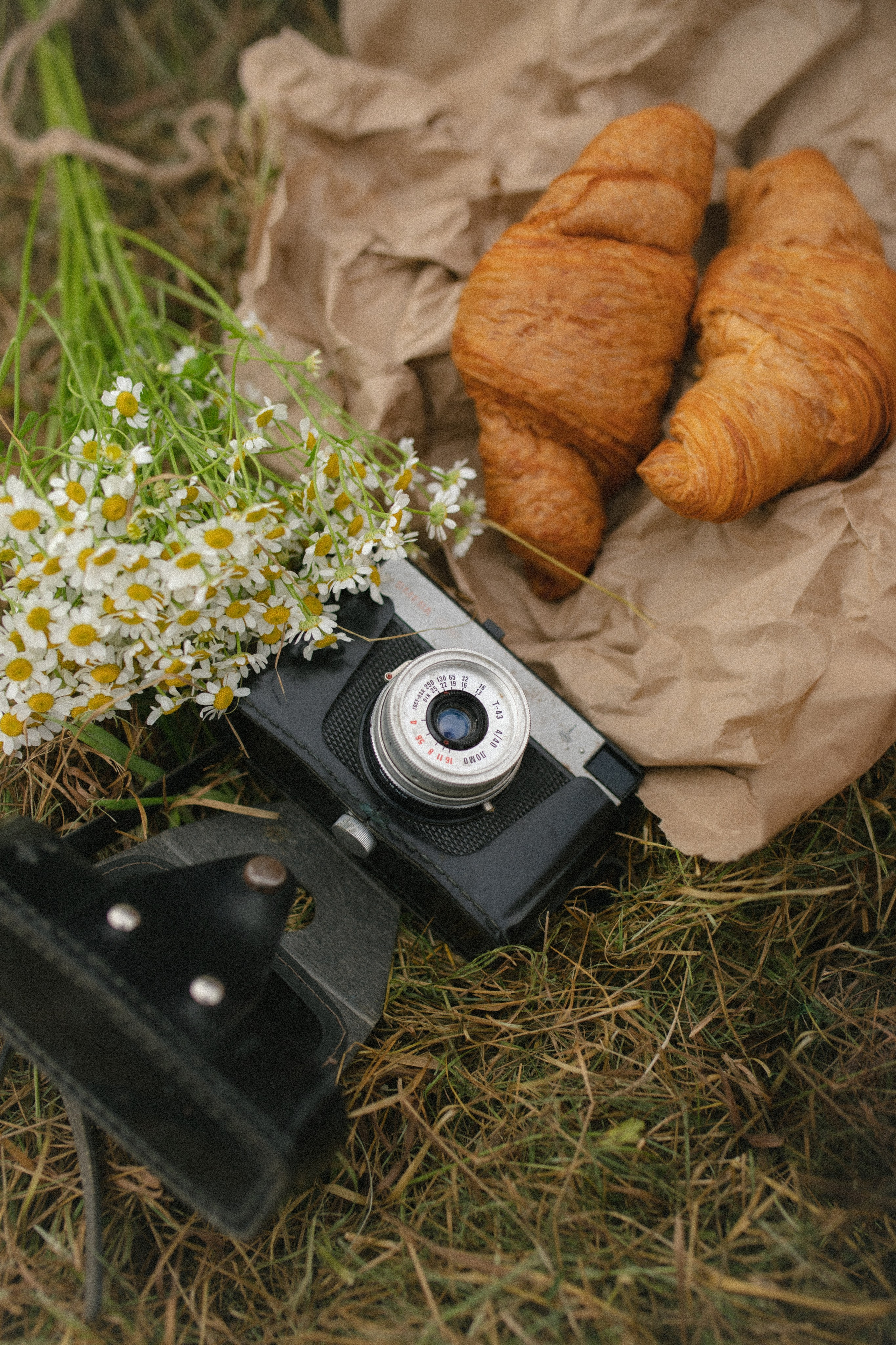 Лада и Никита. Семейный фотограф в Москве Алина Савченко