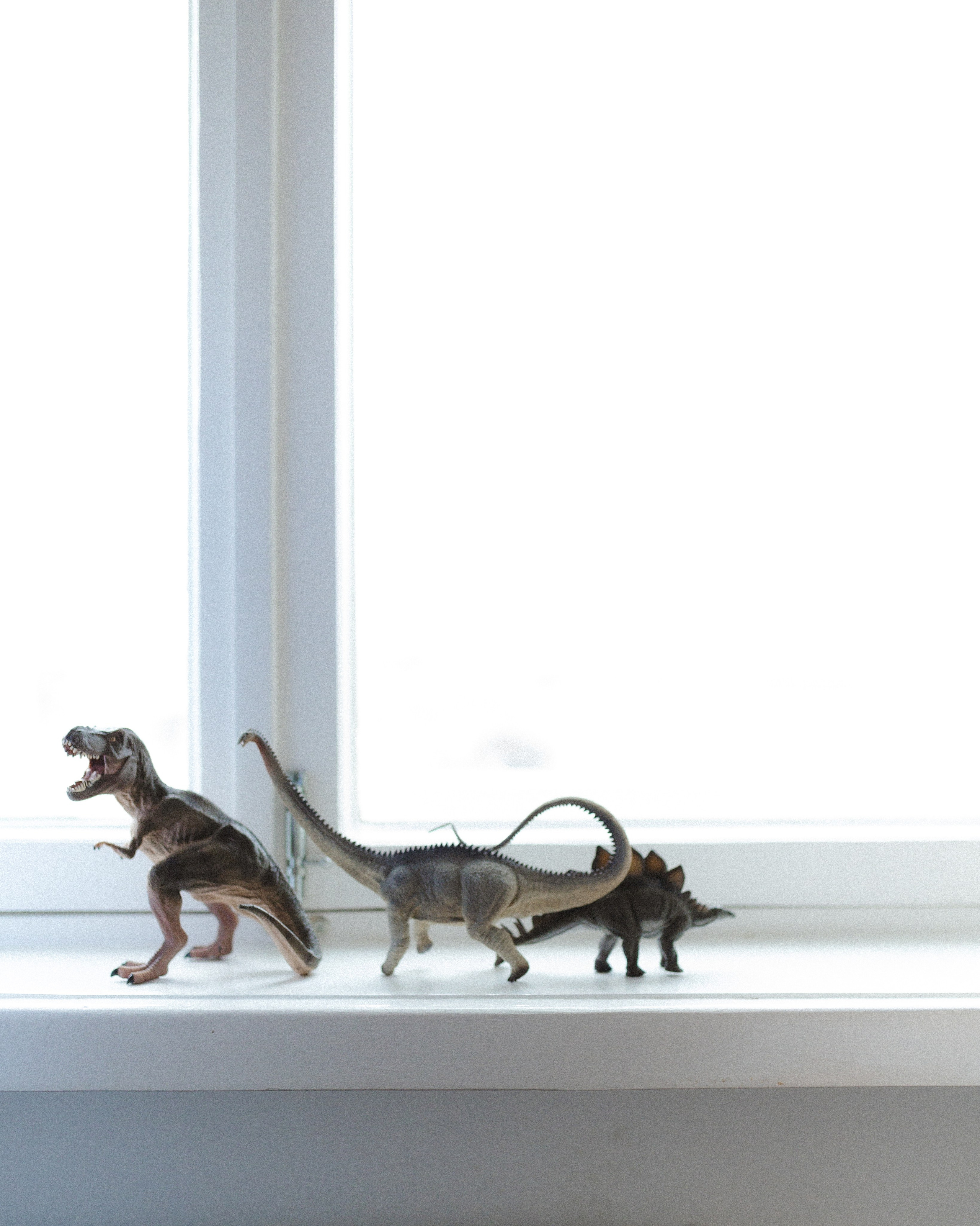 Вика и Максим. Семейный фотограф в Москве Алина Савченко