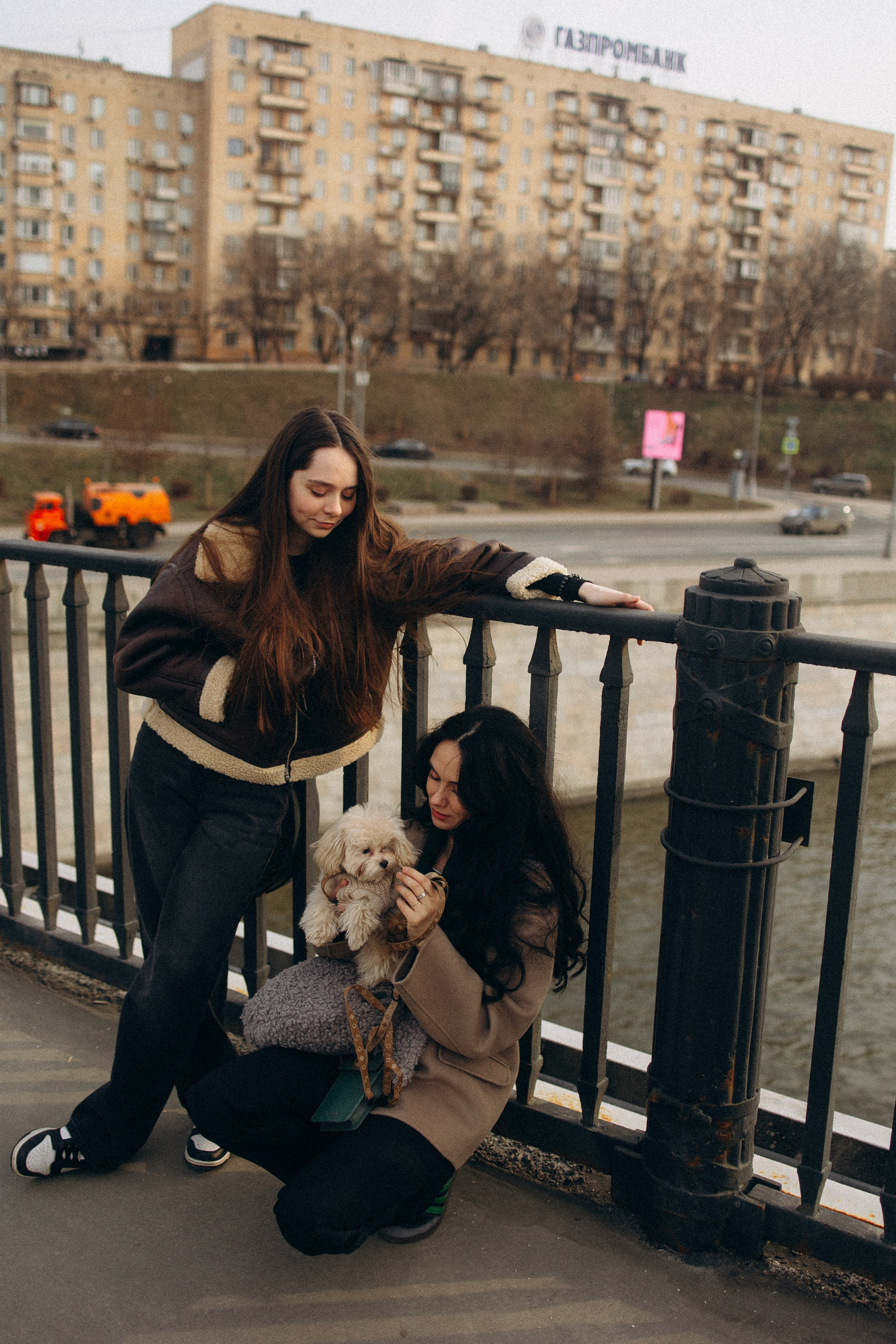 Маша, Лиза и Луна. Фотораф — анималист Мария Шистка