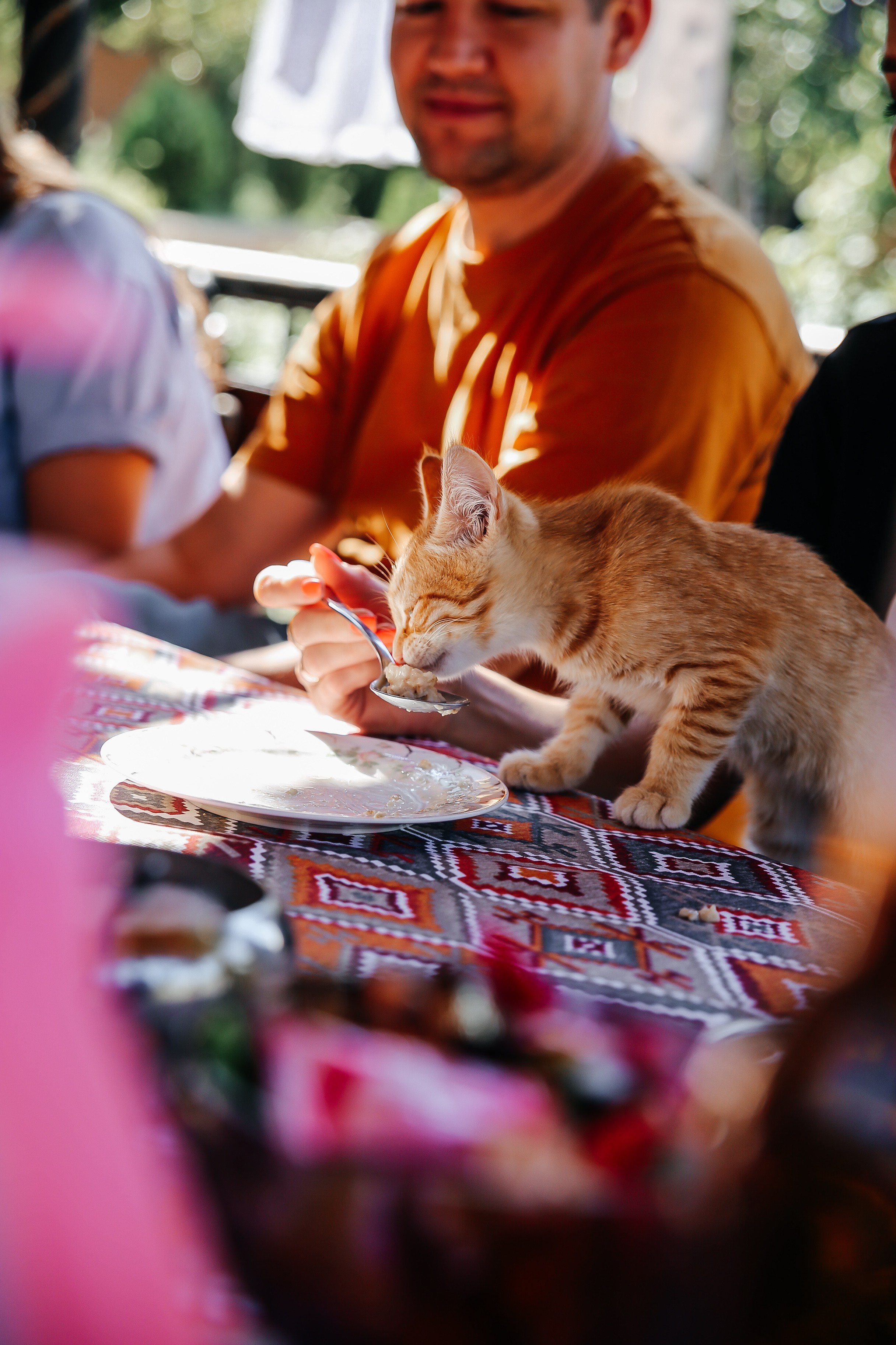 Тур Дагестан. Фотограф в Серпухове и Тарусе Ксения Царёва
