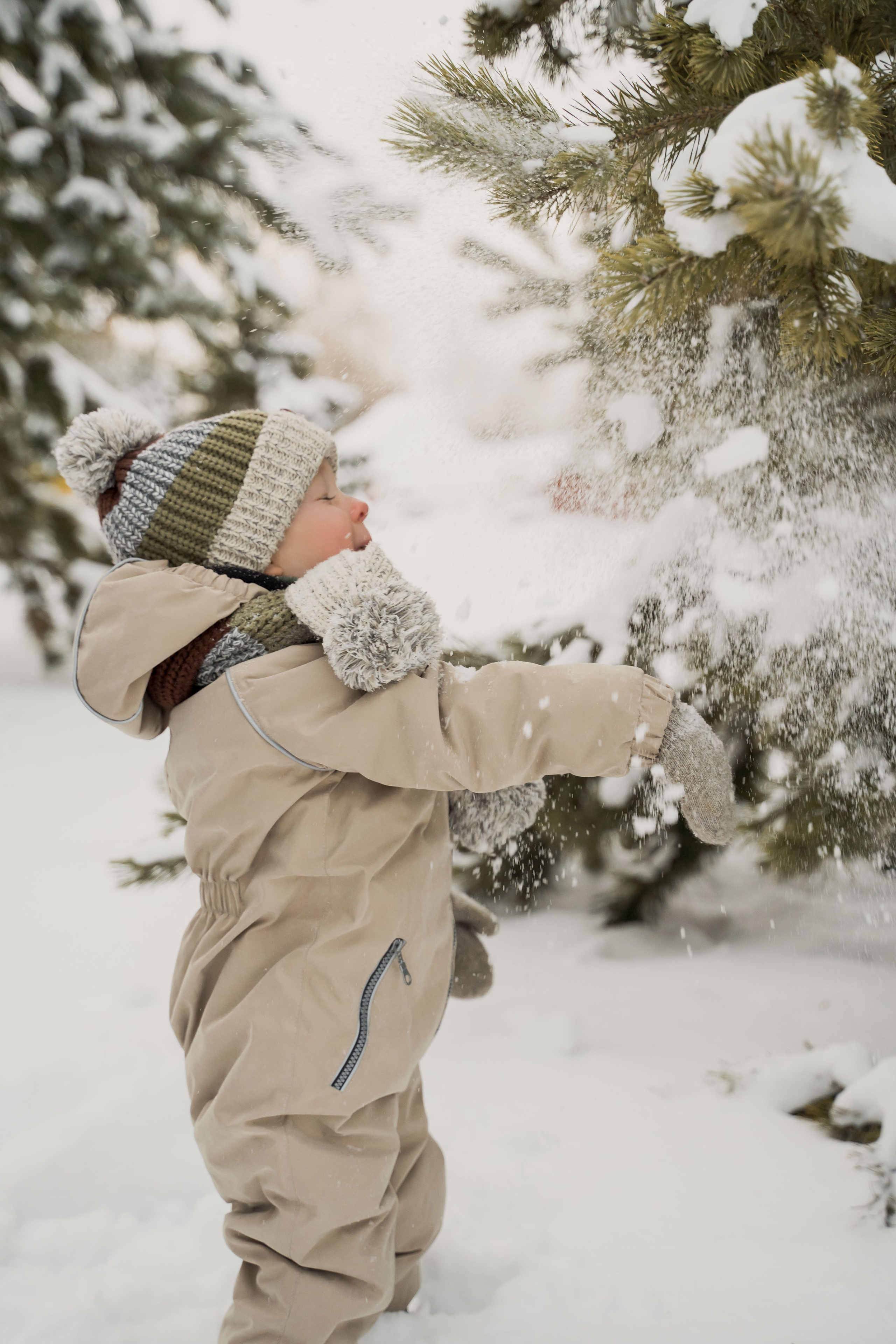 Зимняя прогулка. Главная