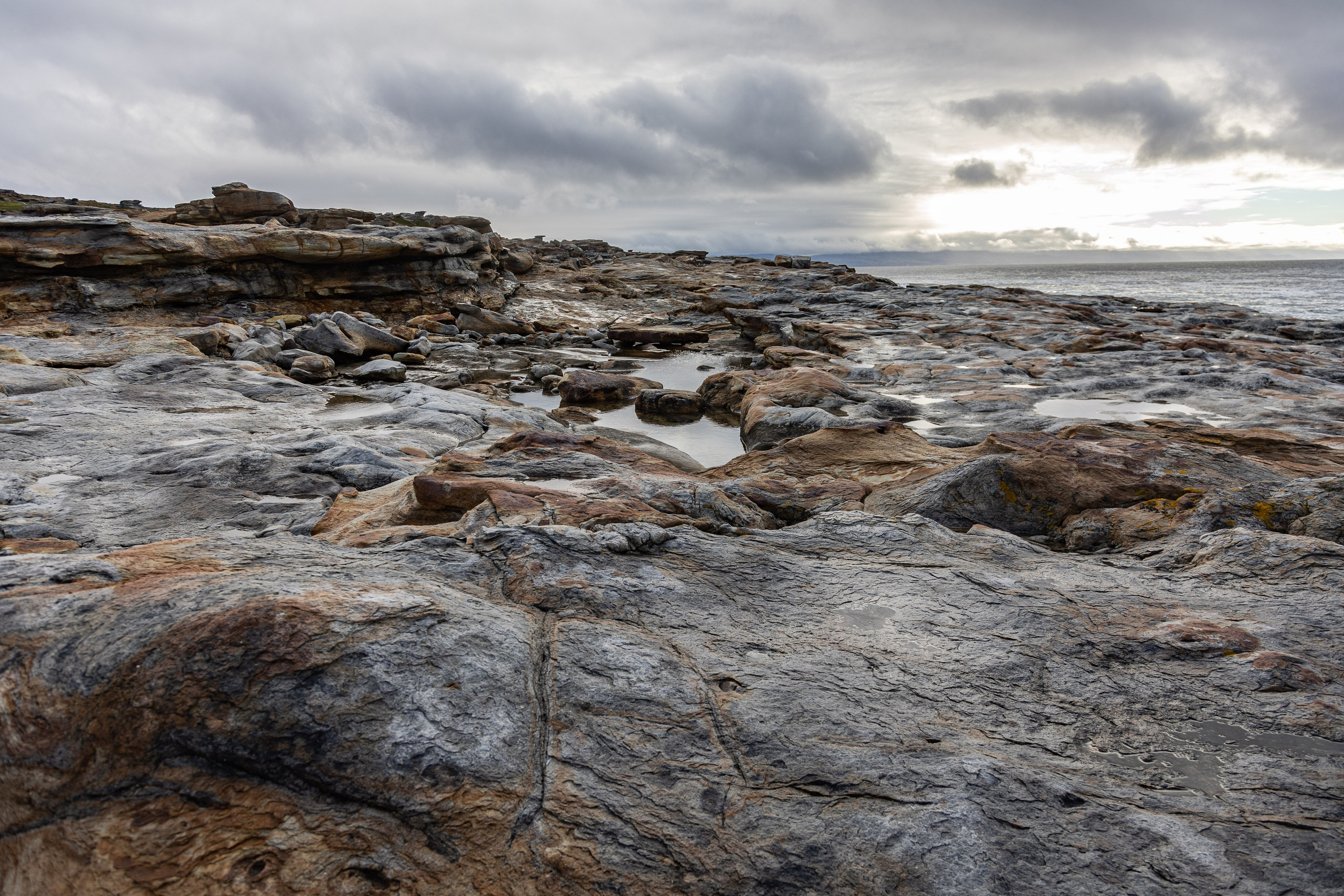 Россия. Полуостров Средний. Добродеева Алла фотограф, Москва