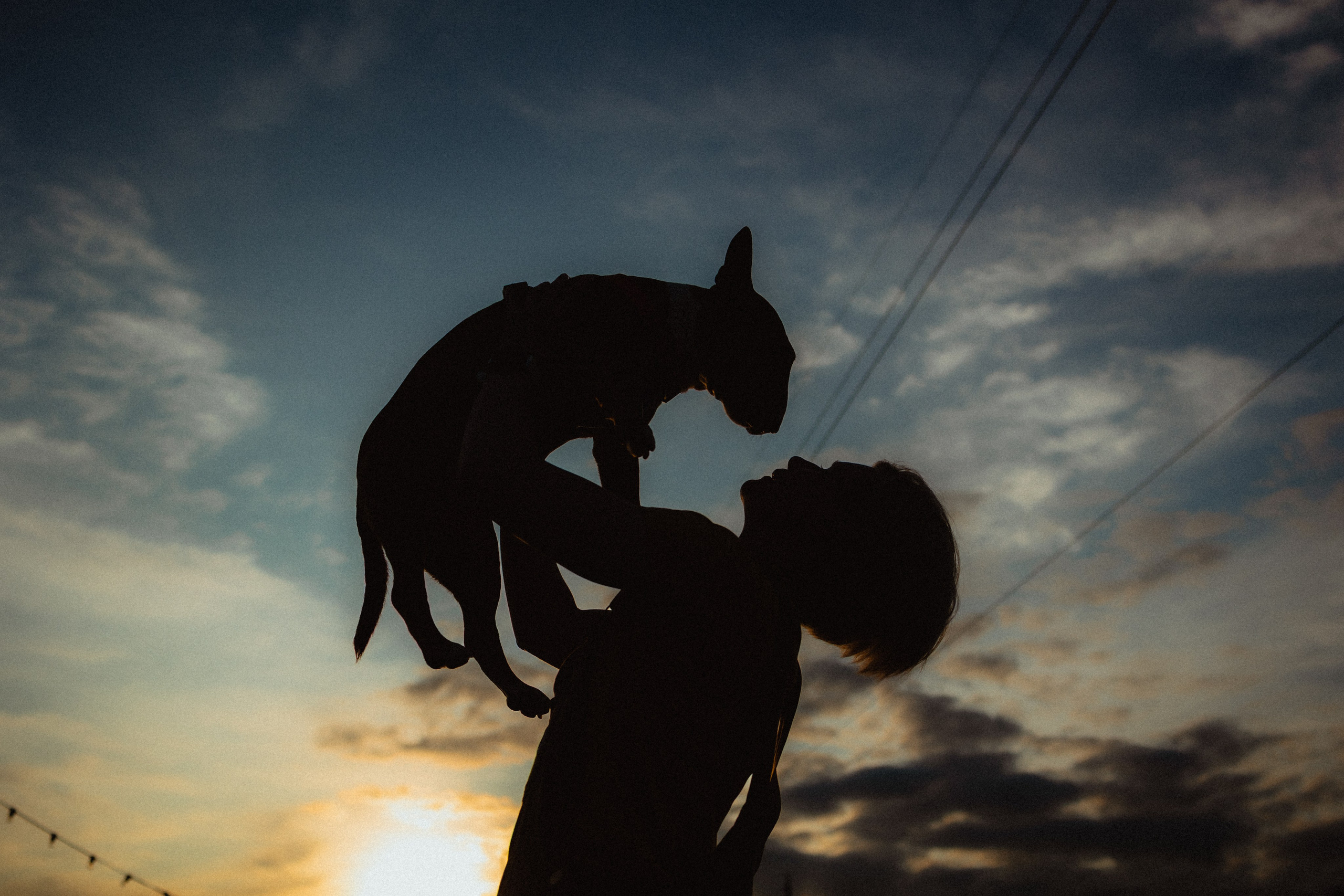 Выездной дог-тренинг от школы «Шерсть имею»