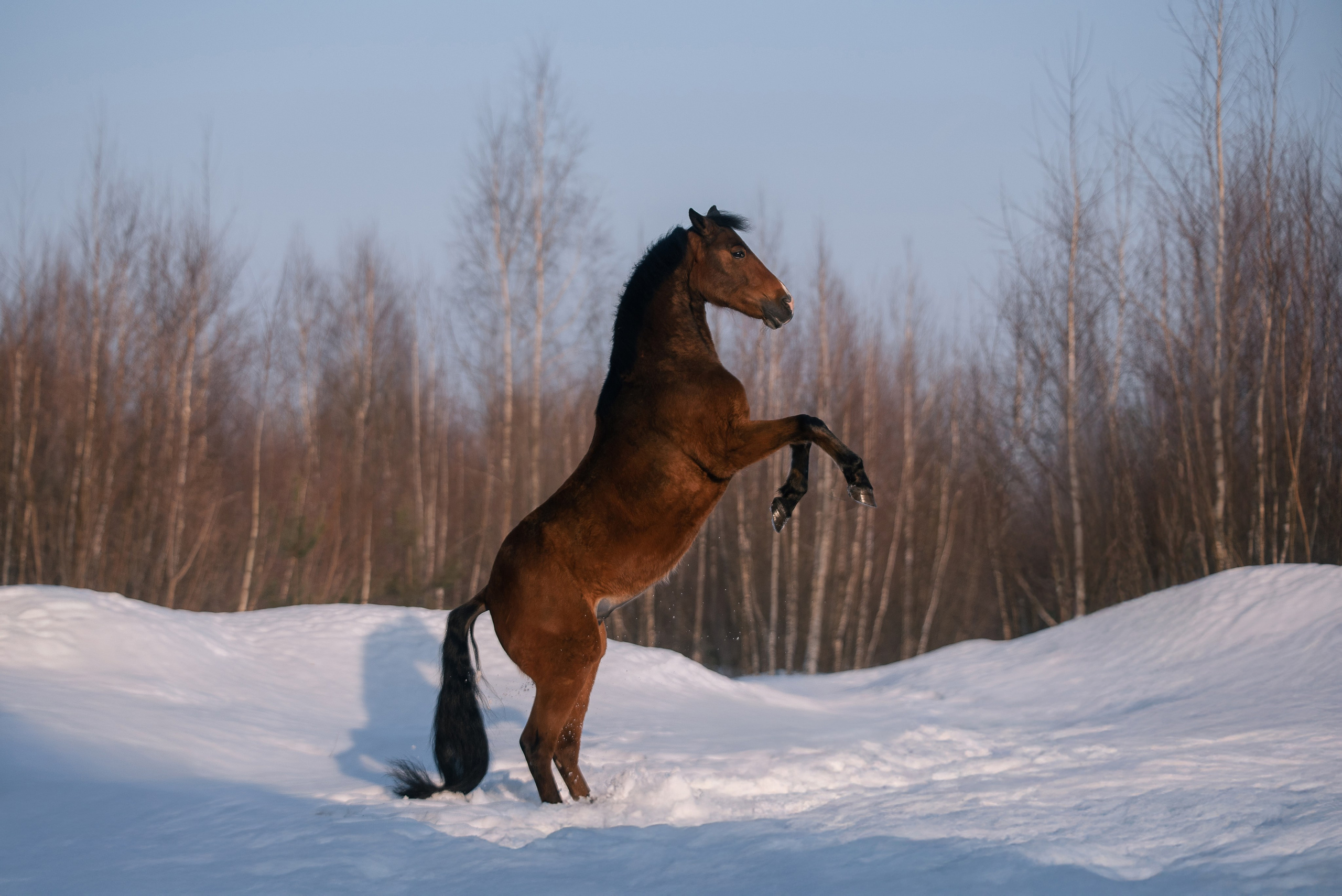 Кантри Клаб. Фотограф Анна Тюрина
