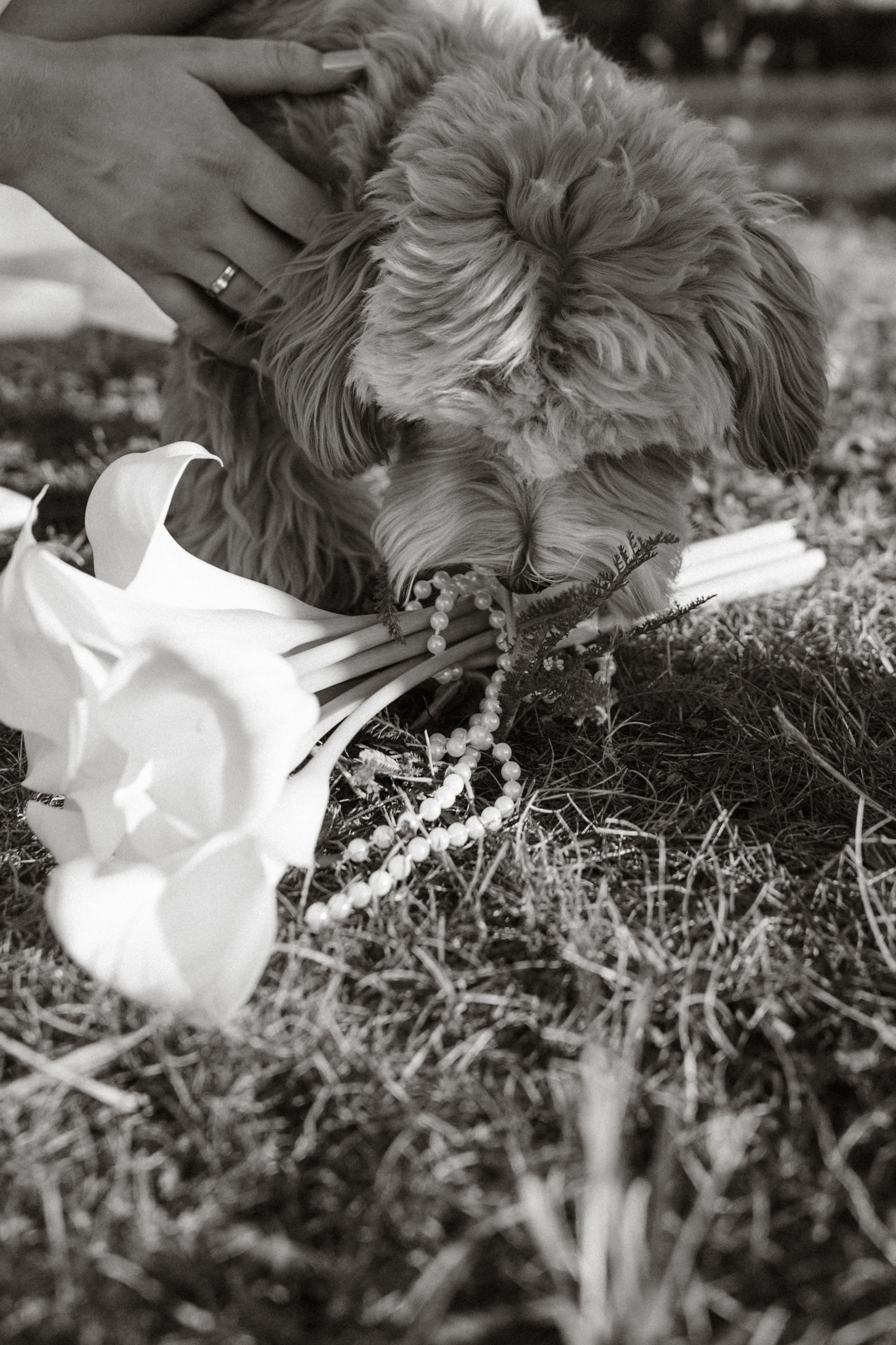Евгений & Дарья. Фотограф Юлия Герасимова Иркутск