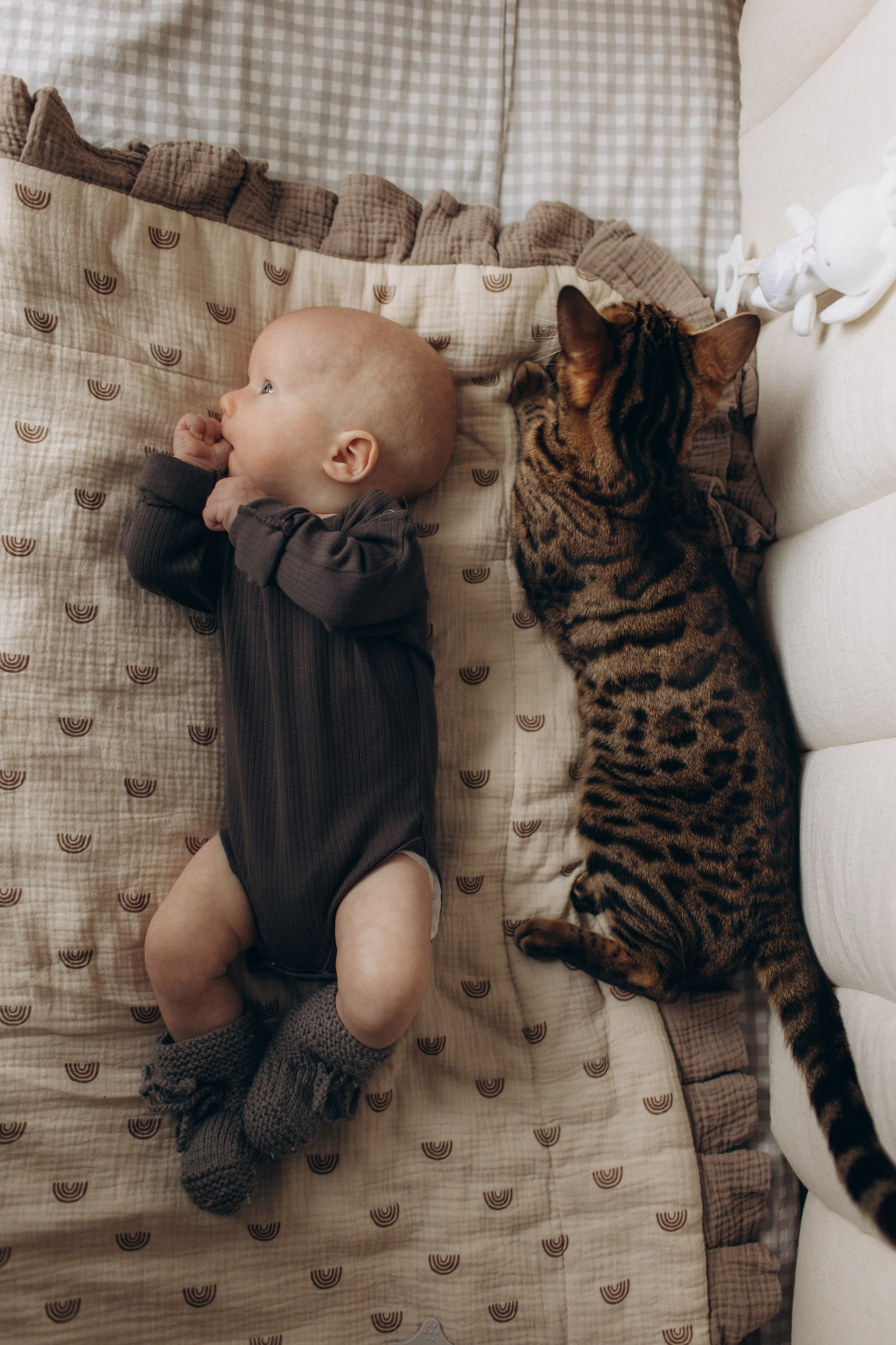 (LifeStyle). Newborn Фотограф в Твери