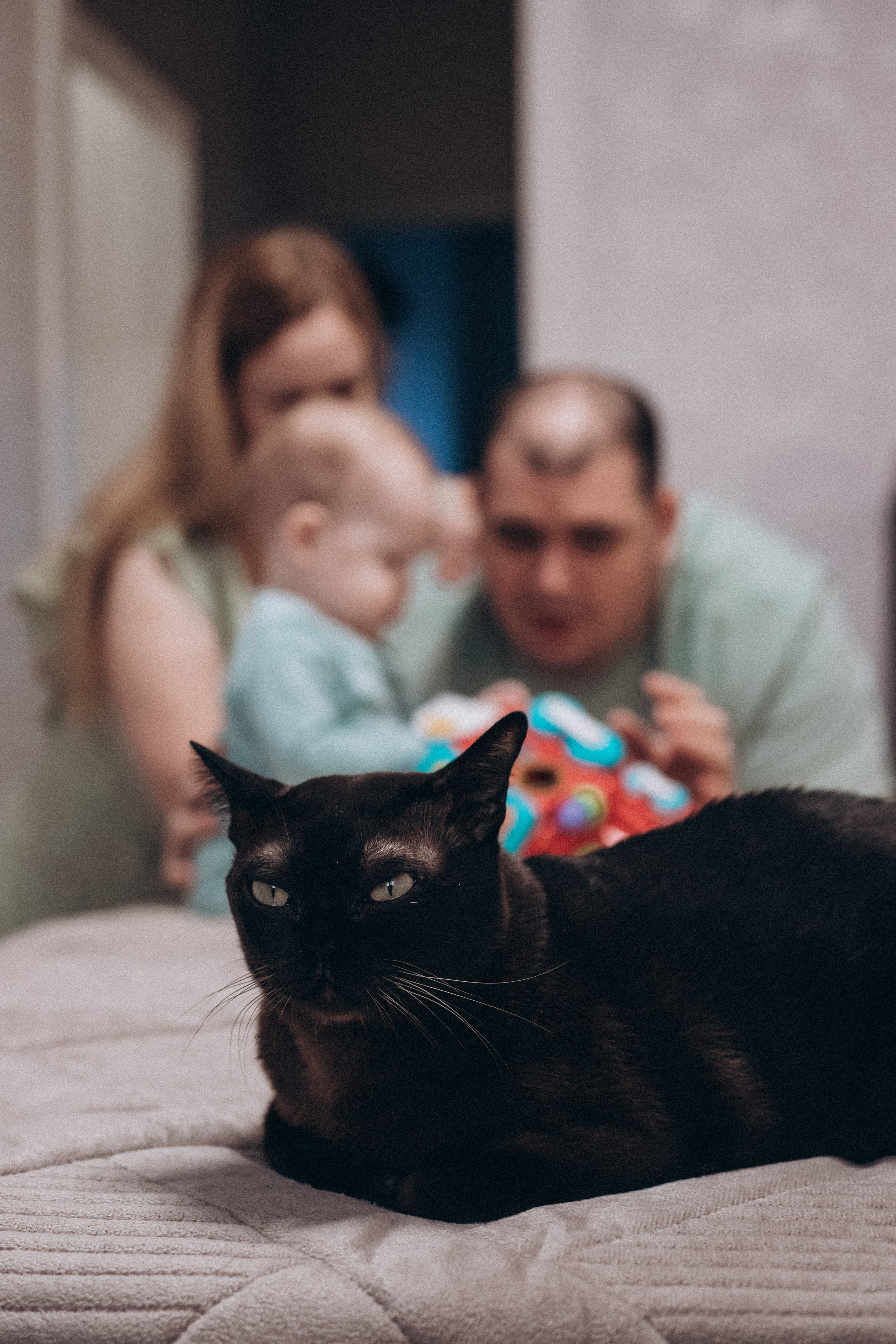 Вадим Ирина и Артем. Семейный фотограф Нижневартовск Тюмень Ефимова Ирина