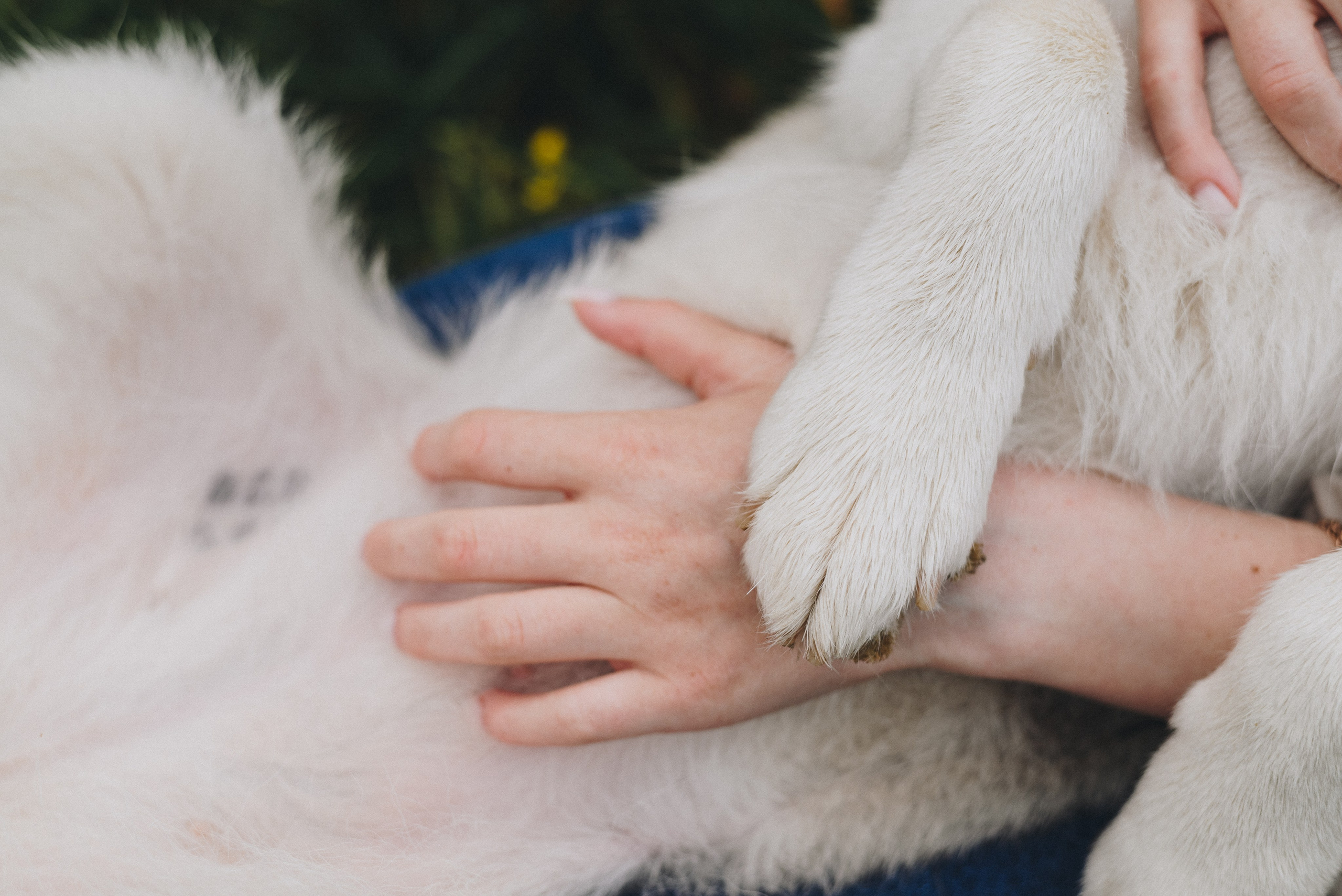 Lilya & Eva. Natalia Finch Photography — Family, Kids & Pet Photographer in Chicago, IL