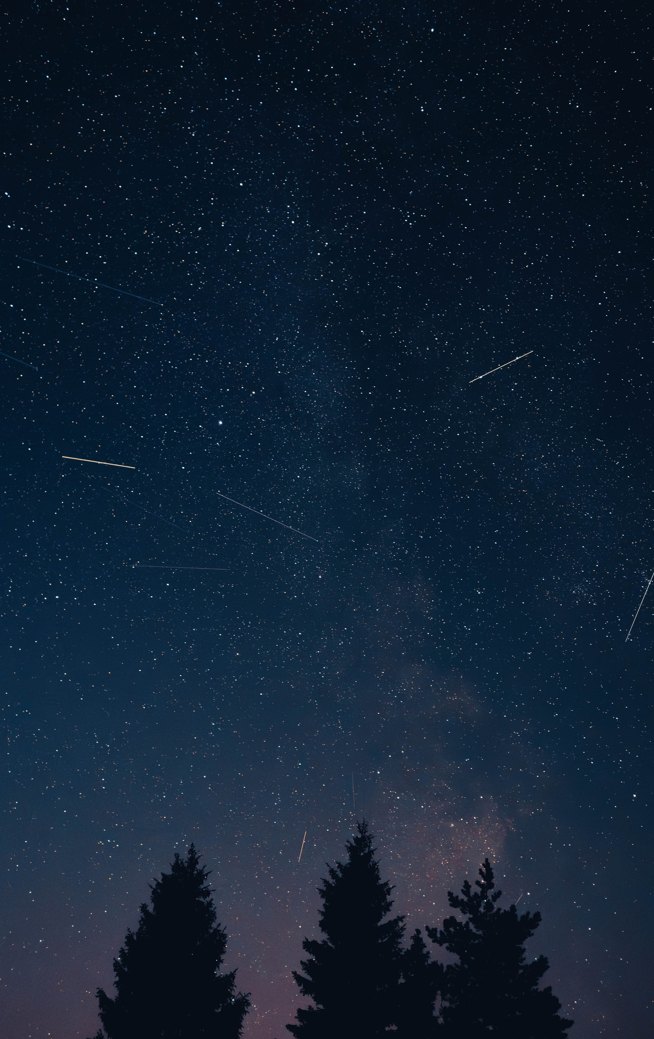 Звёзды. Светофография