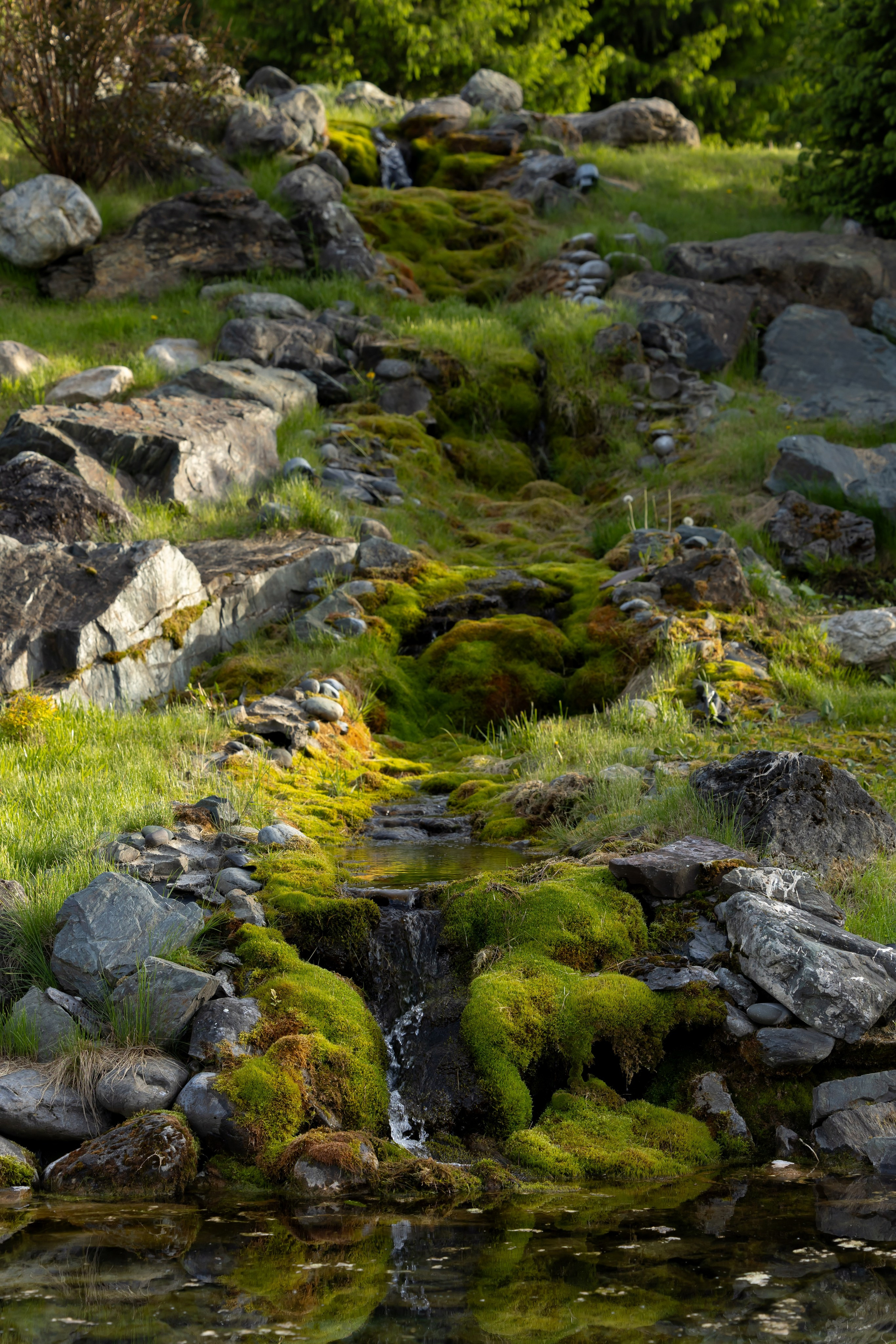 Алтай Бизнес-клуб «Новые Горизонты». Фотограф Москва Людмила Белова