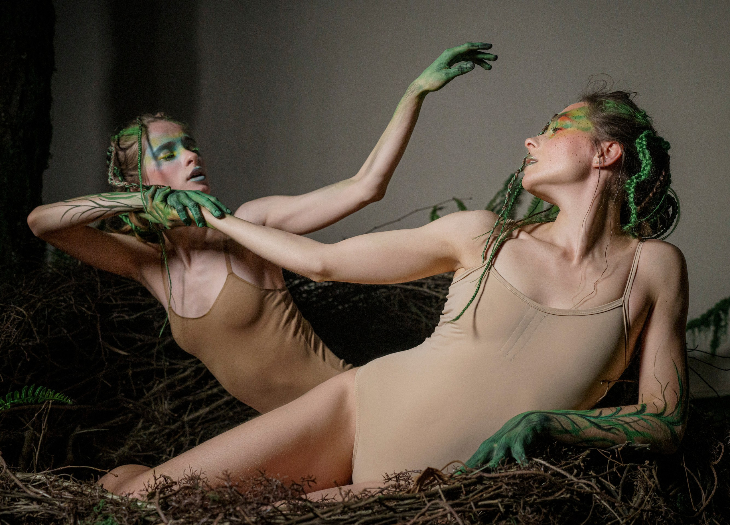 Гнездо. Фотограф Сергей Танков