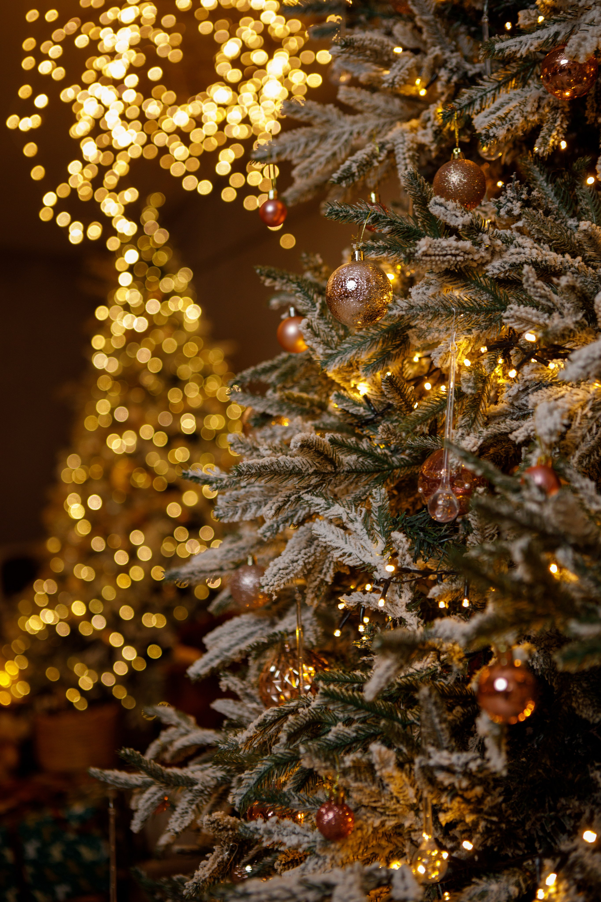 Семейная новогодняя фотосессия Петропавловск. Свадебный и Семейный фотограф в Петрпавловске