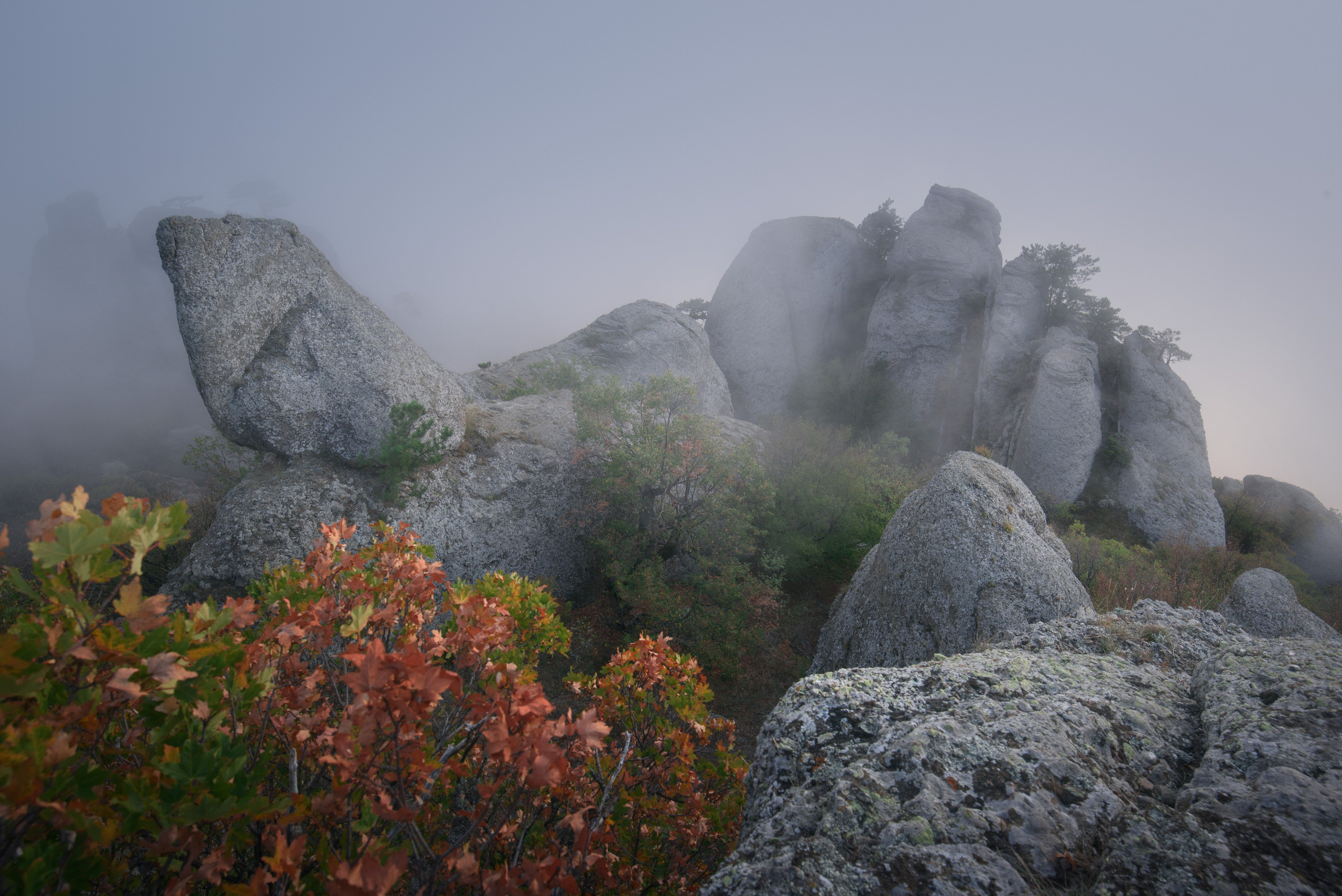 Фотограф Антон Денисенко: Портрет, Документалистика, Пейзаж. Фотограф Антон Денисенко: Портрет, Документалистика, Пейзаж. Москва
