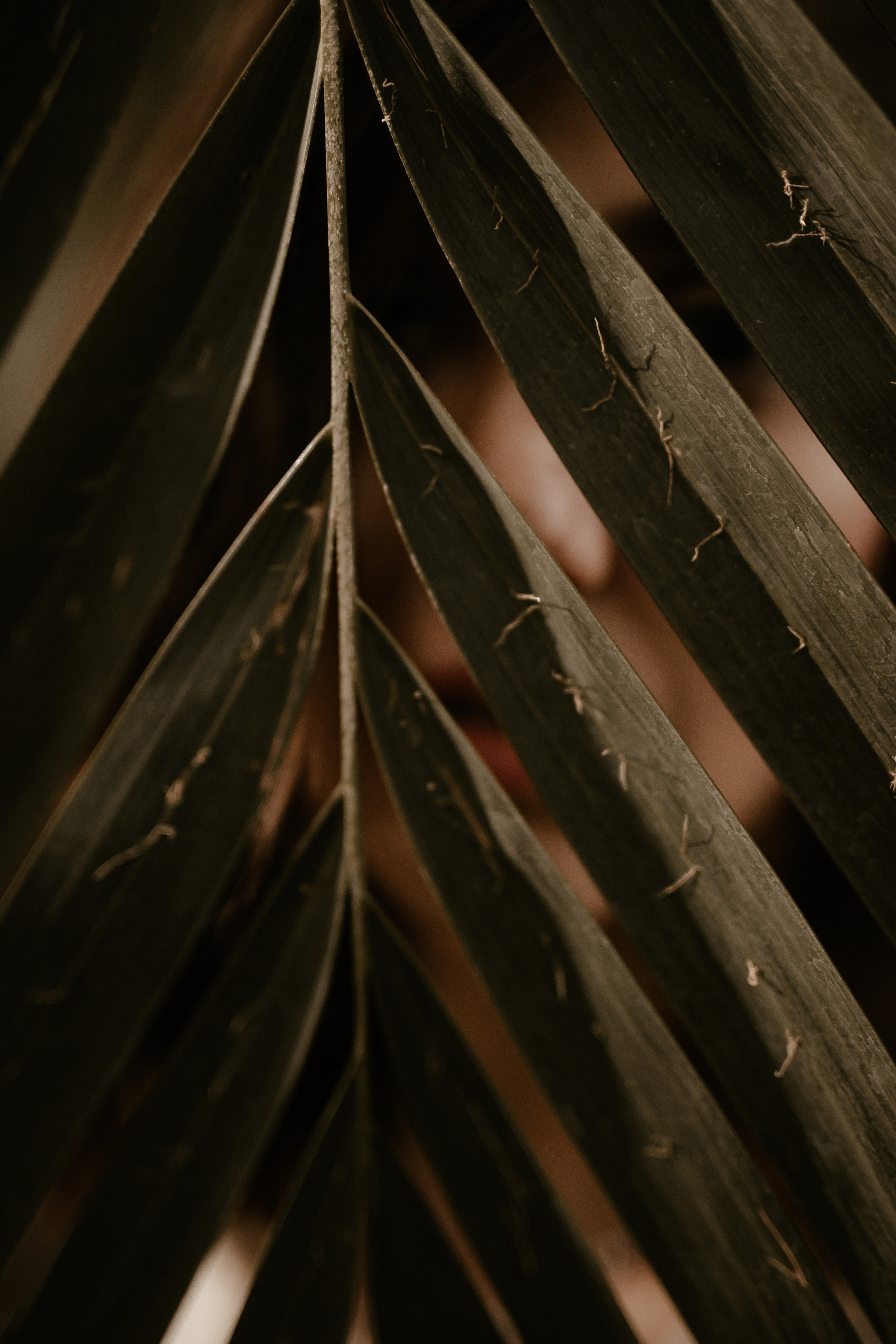 Надежда. Фотограф Serj Ganso