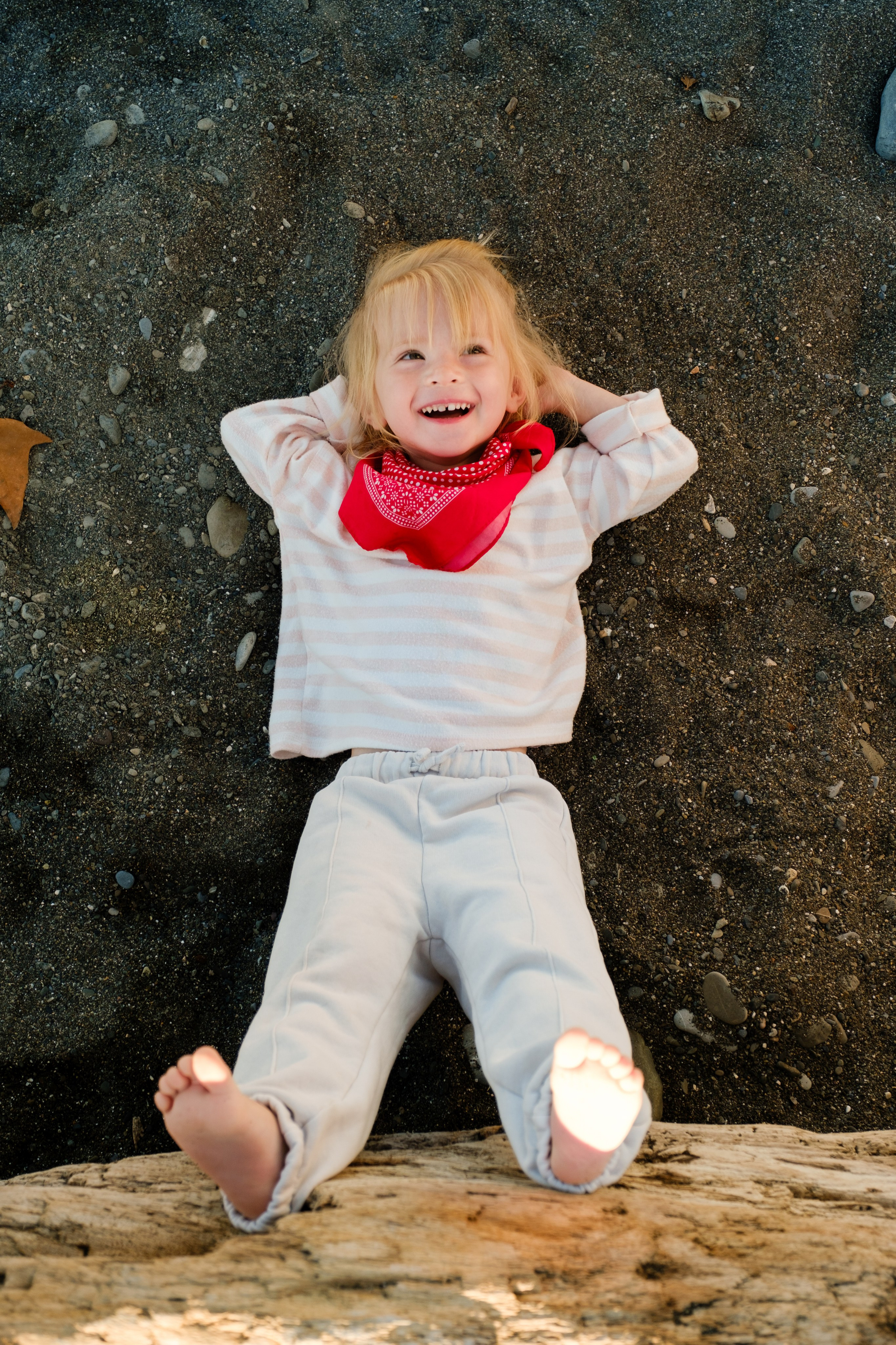 Воздушный змей. Свадебный Видеограф Фотограф в Сочи