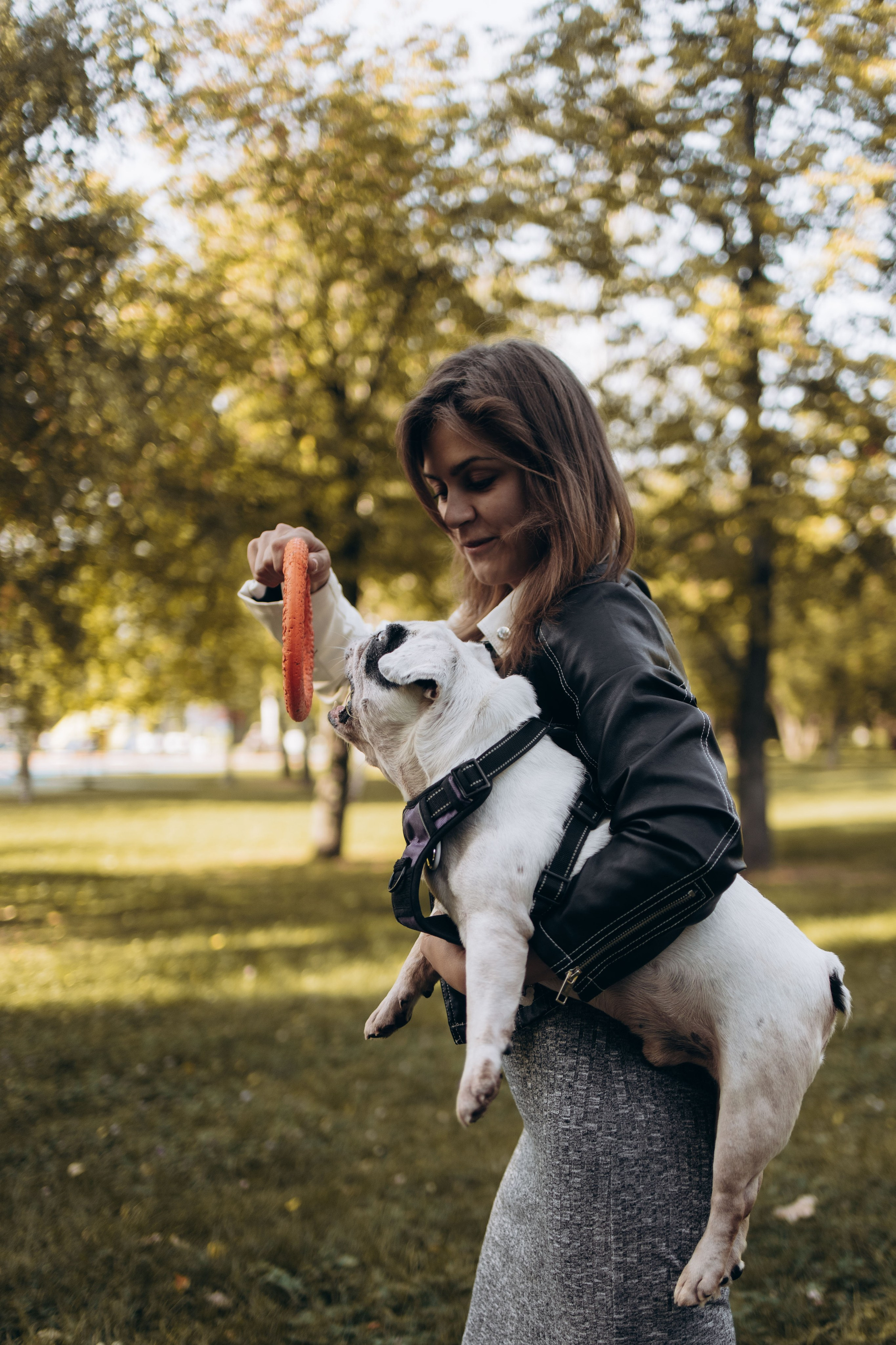 Оля и бульдоги