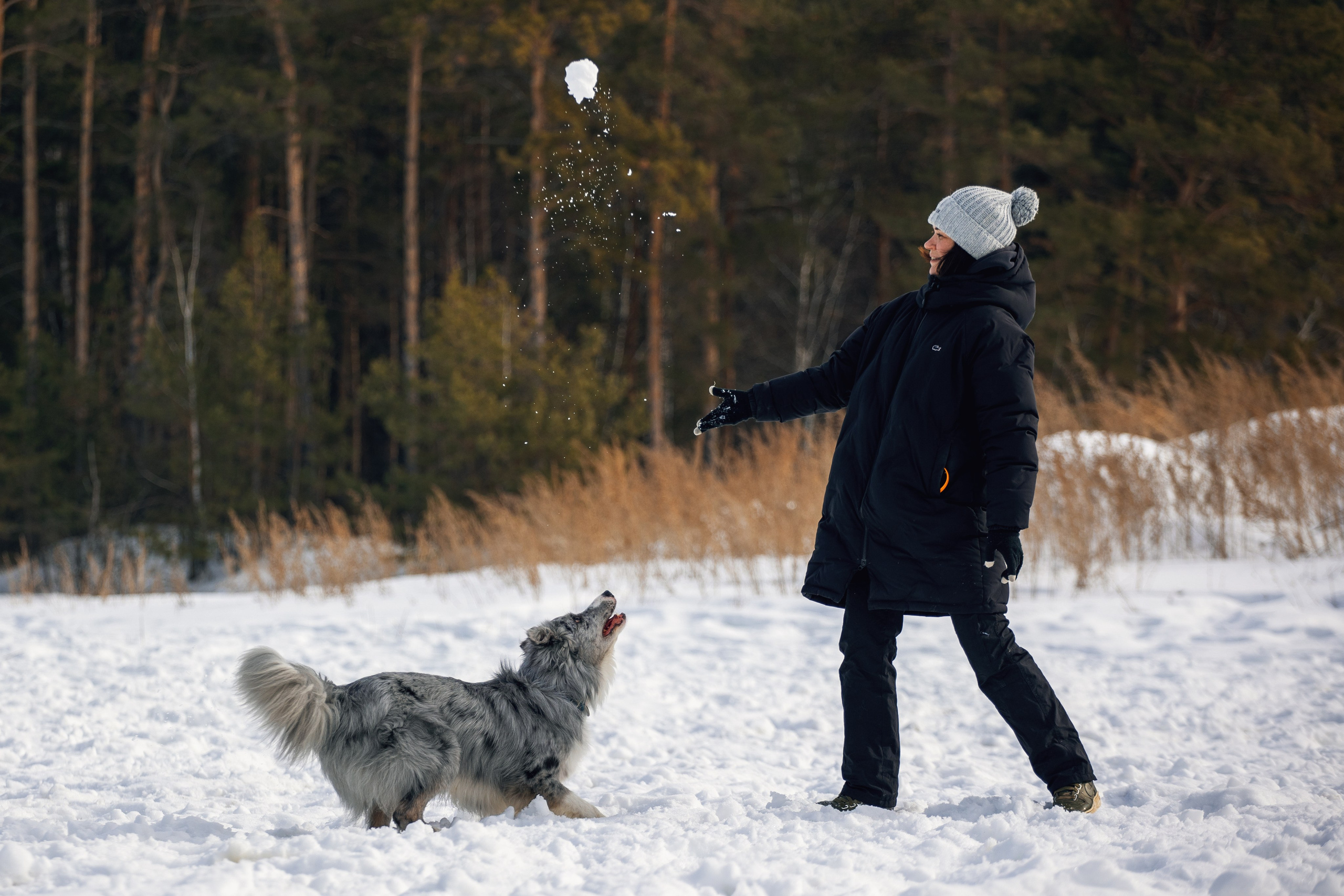 В погоне за снежком…. YULA KOLESOVA | Фотограф — Анималист | Художник | Тюмень