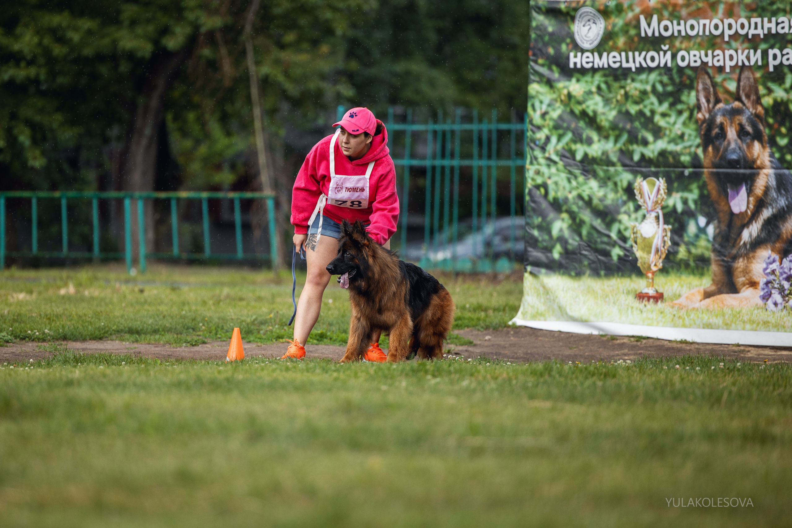 6.07.2024 Выставка немецких овчарок г. Тюмень. YULA KOLESOVA | Фотограф — Анималист | Художник | Тюмень