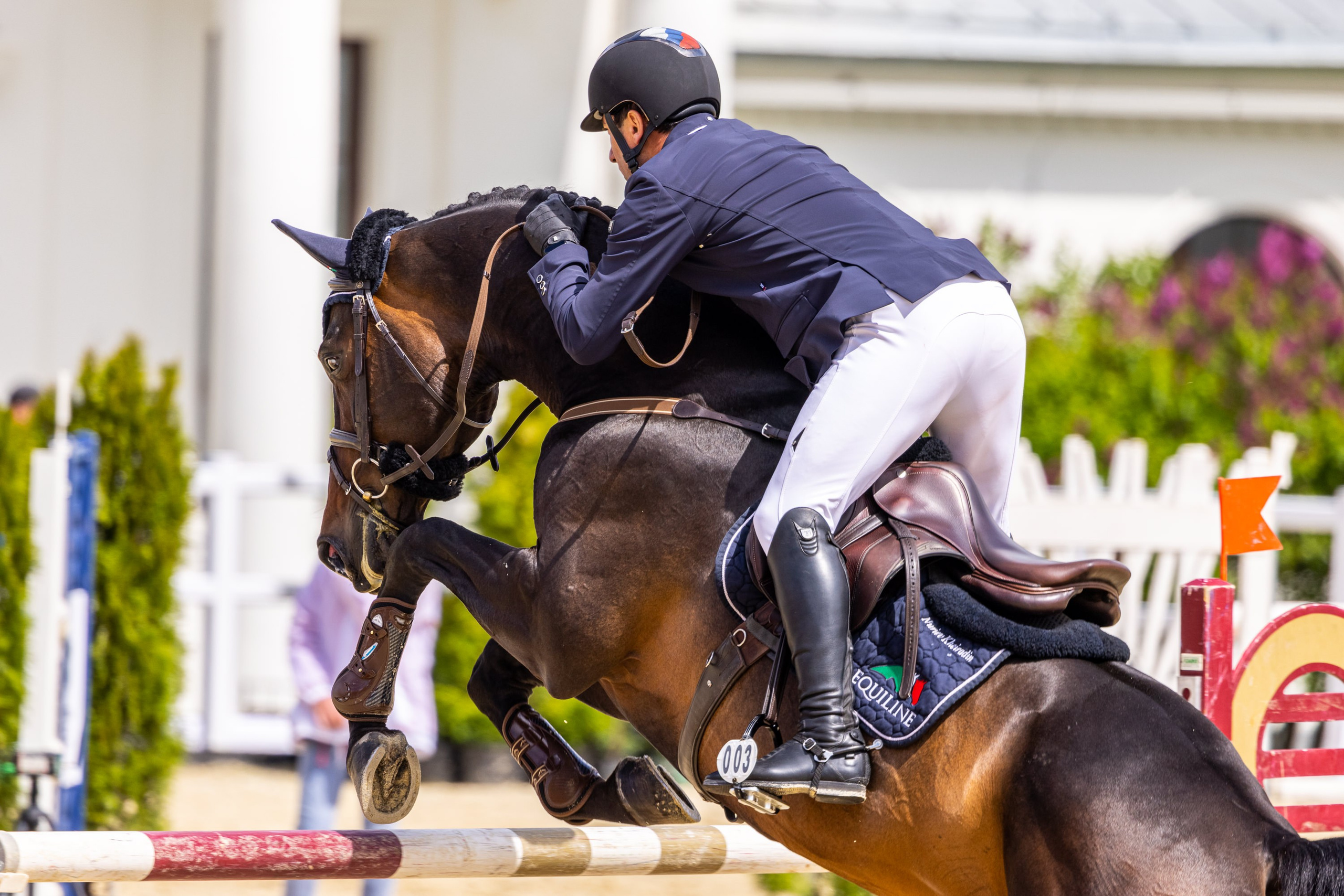 Конкур. Mrs.Aquarelia Конный фотограф Марианна Леонтьева