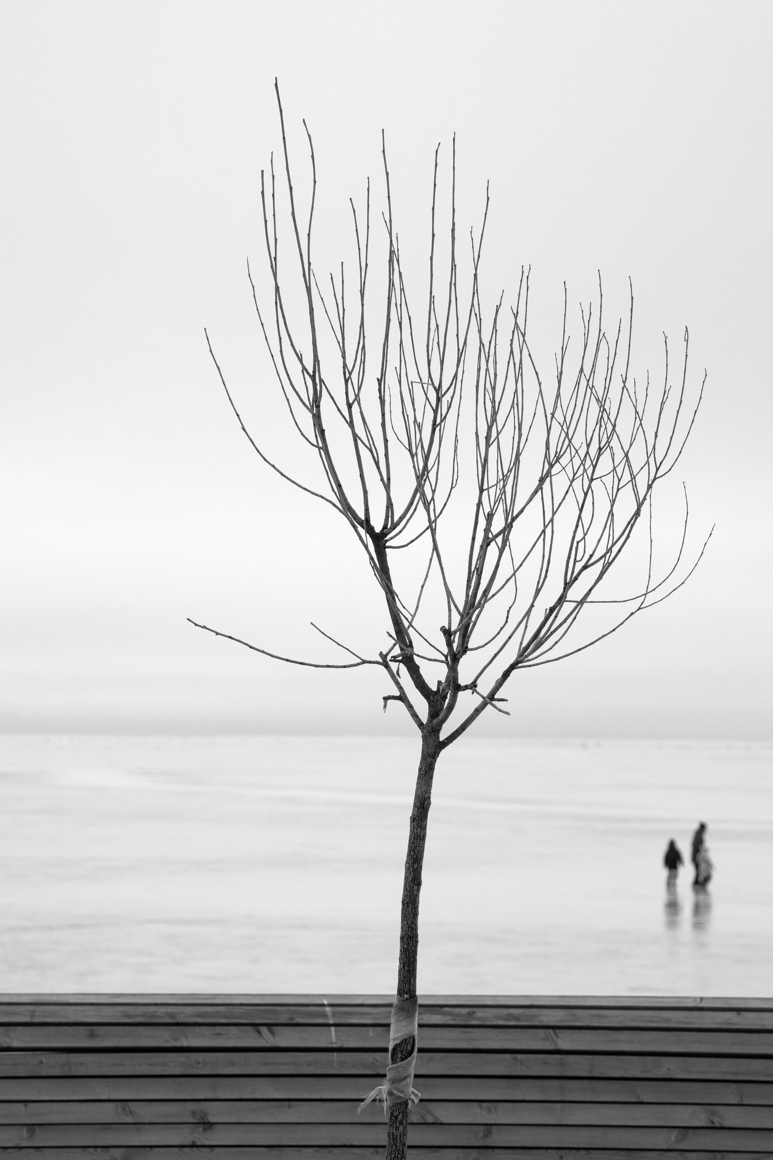 Зима на&nbsp;набережной