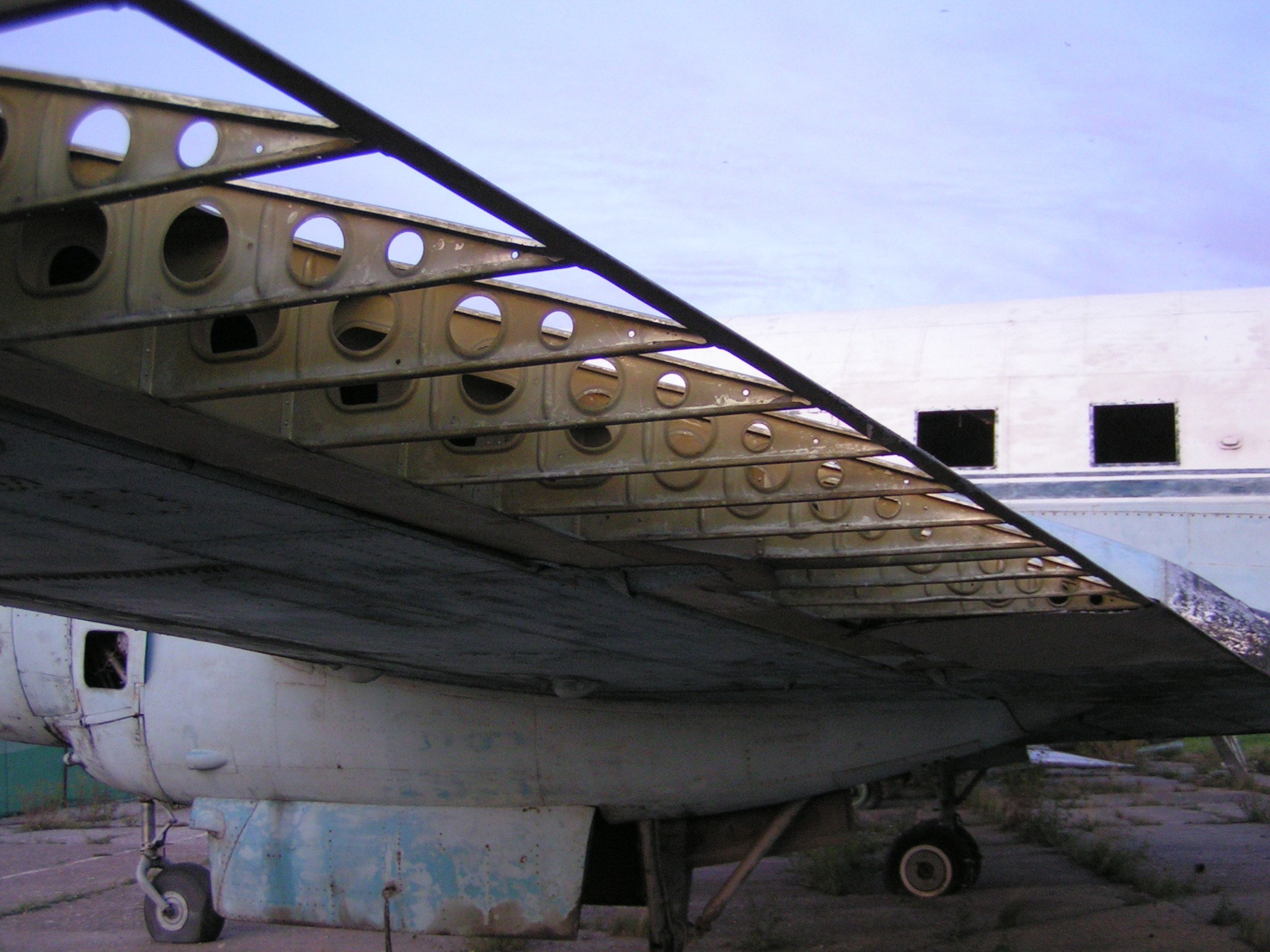 Ил-14 (Ходынка) — уничтожен. Фотоальбом показывающий увлекательный мир авиации и мир медведей Андрея Иванова