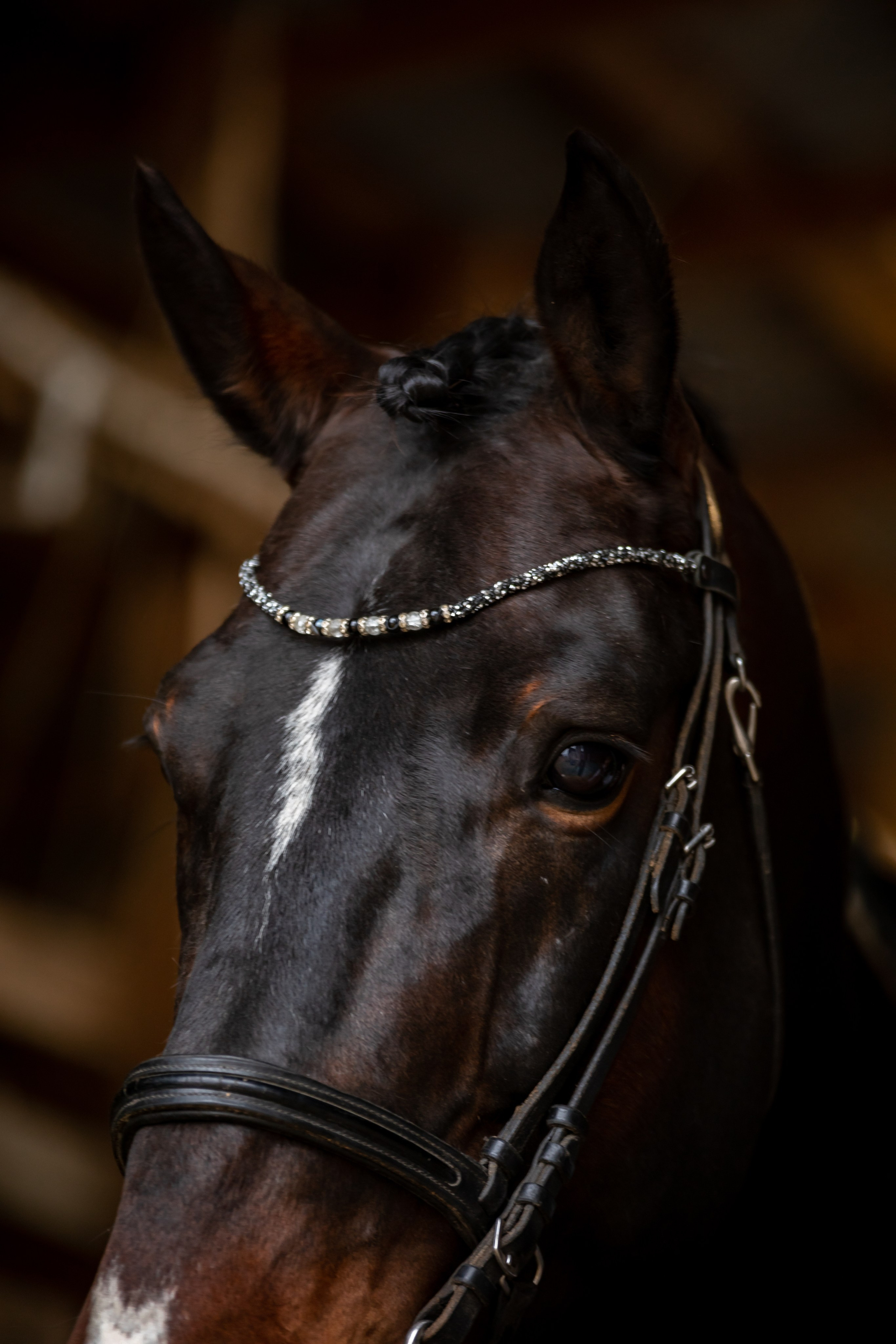 Гардарика. Ася Пчелинцева, фотограф в СПб и ЛО