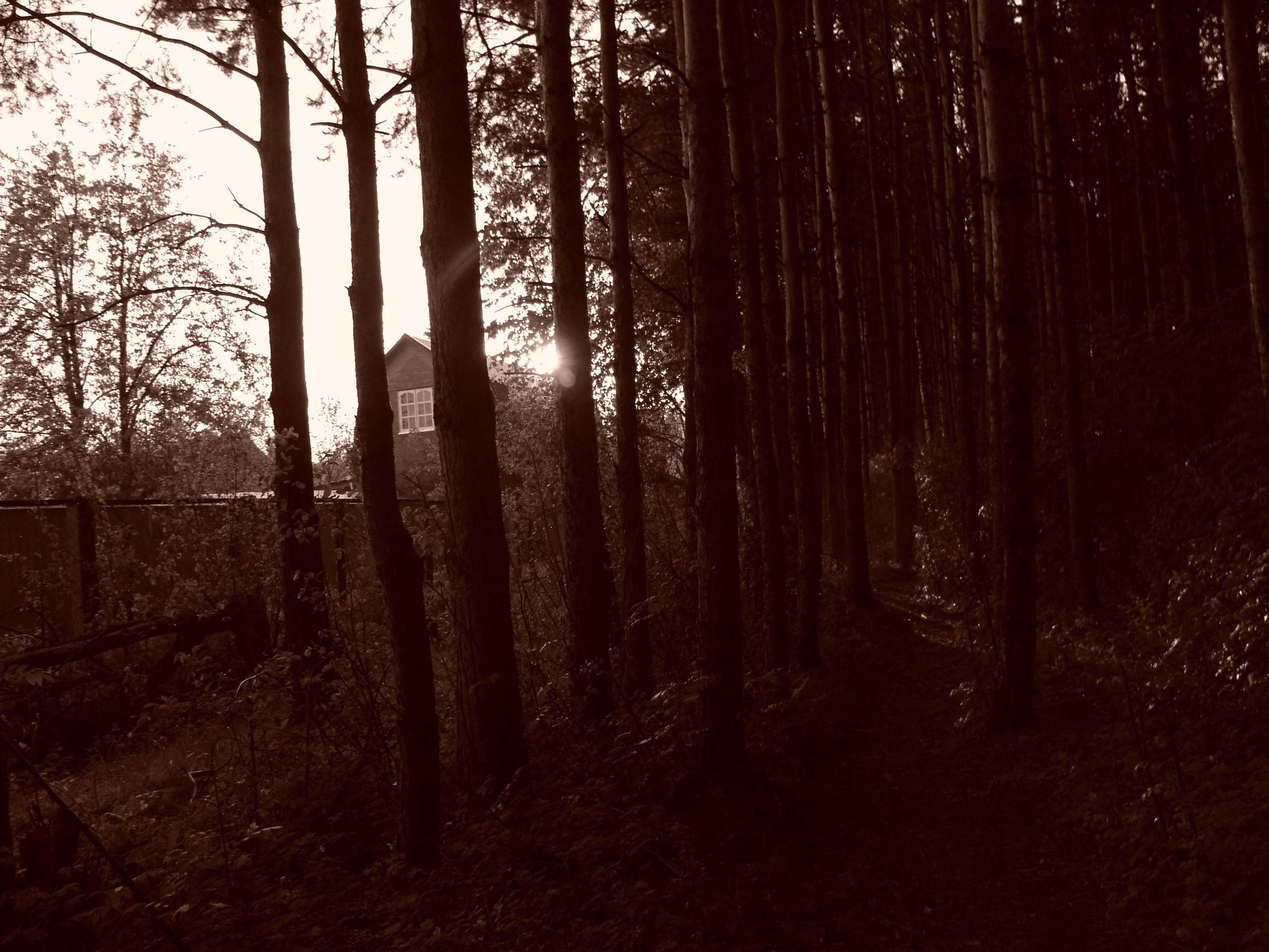 Приезд КС 2005. Заставка