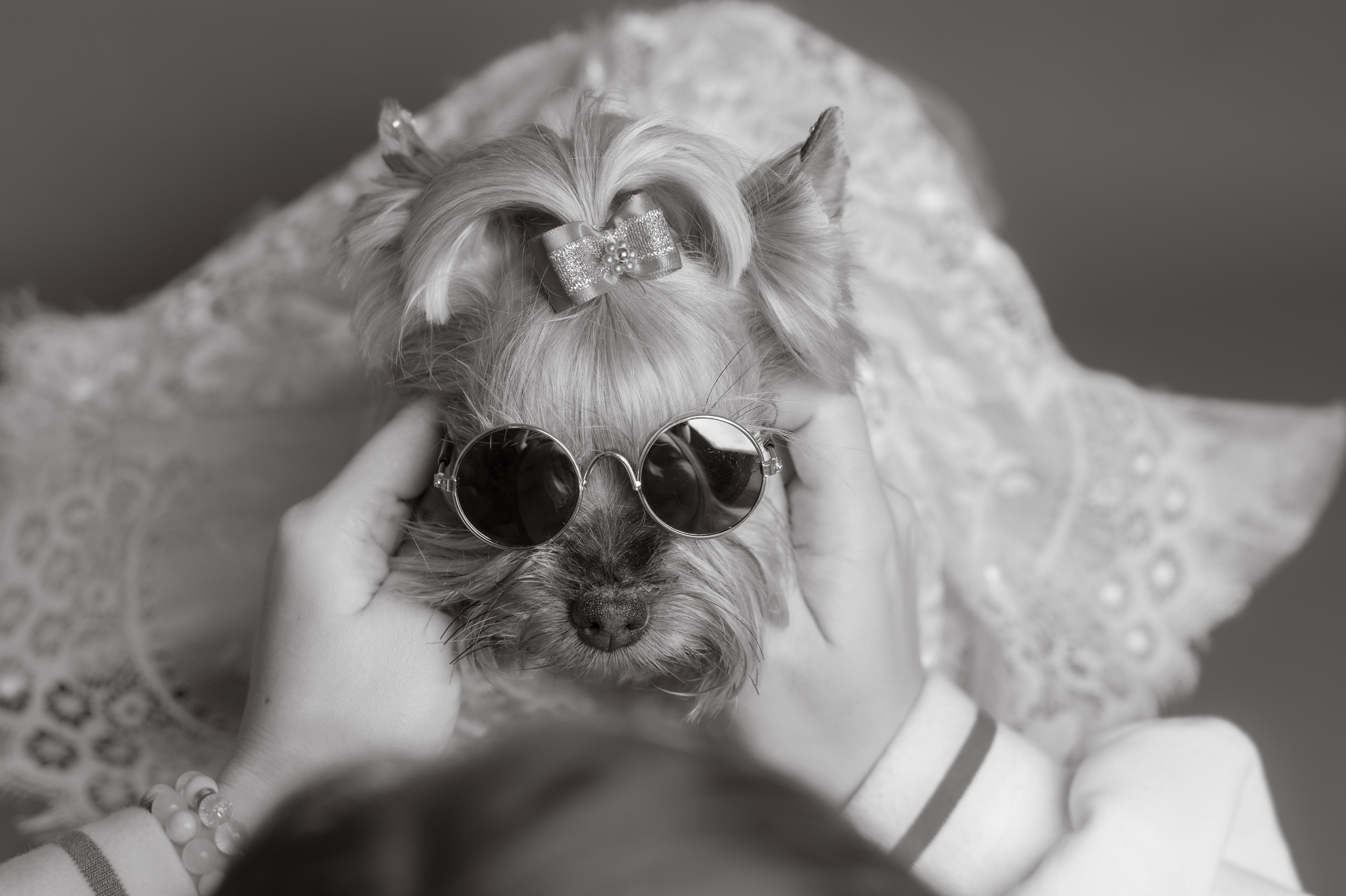 ФОТОСТУДИЯ