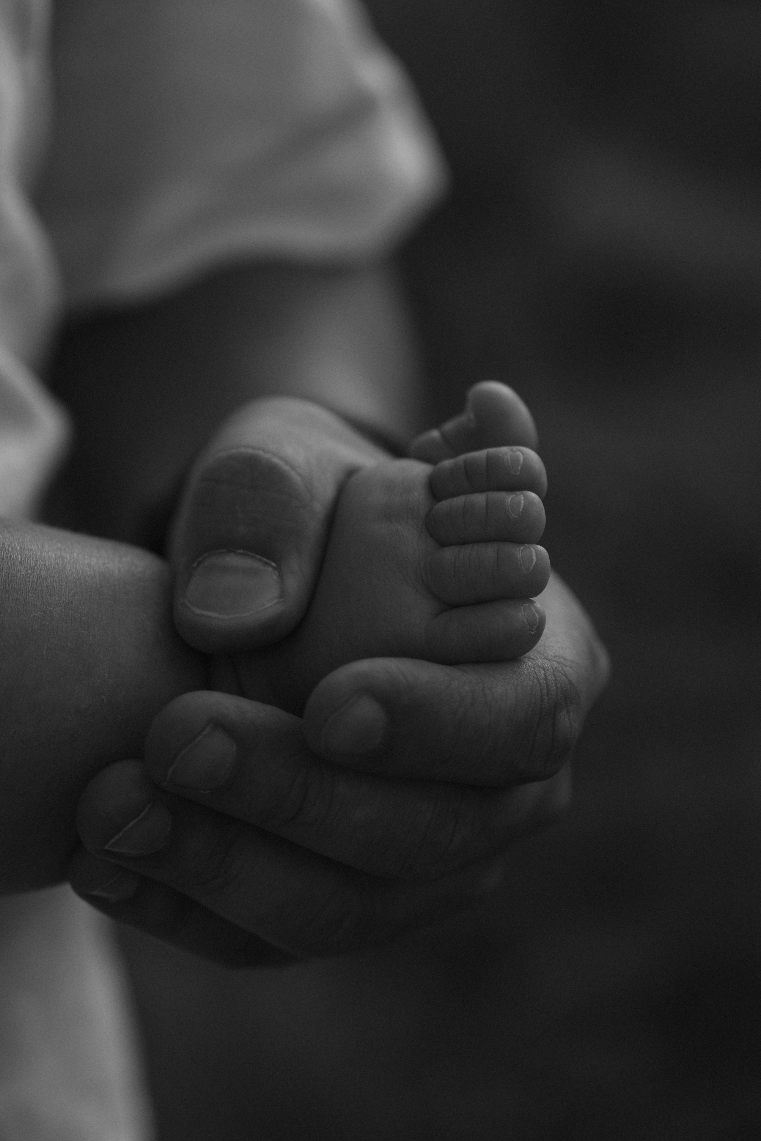 Арина, Борис, Валерия и Эмилия. Свадебный и семейный фотограф в Волгограде